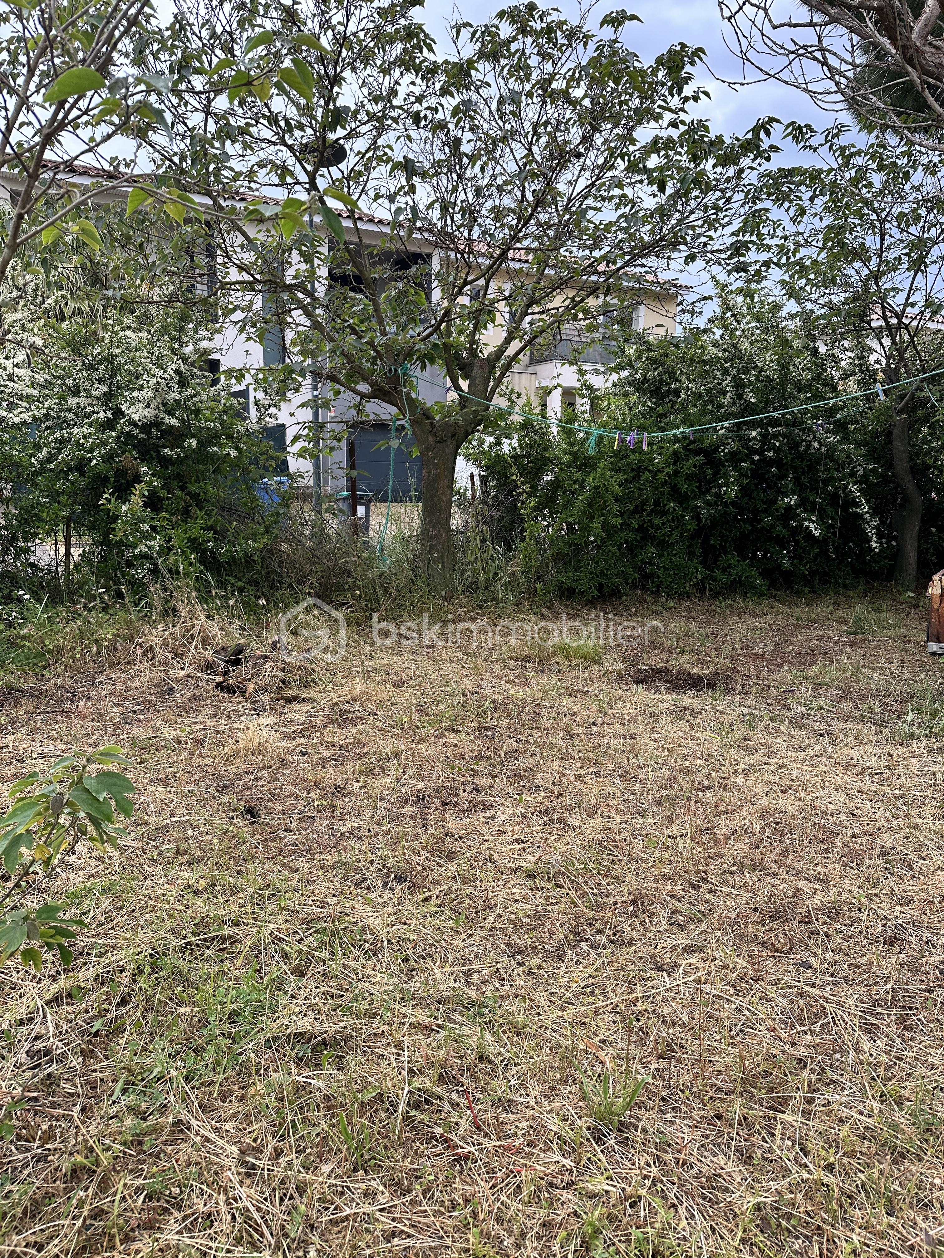 Terrain de 258 m² - IMG_3211 2.JPG