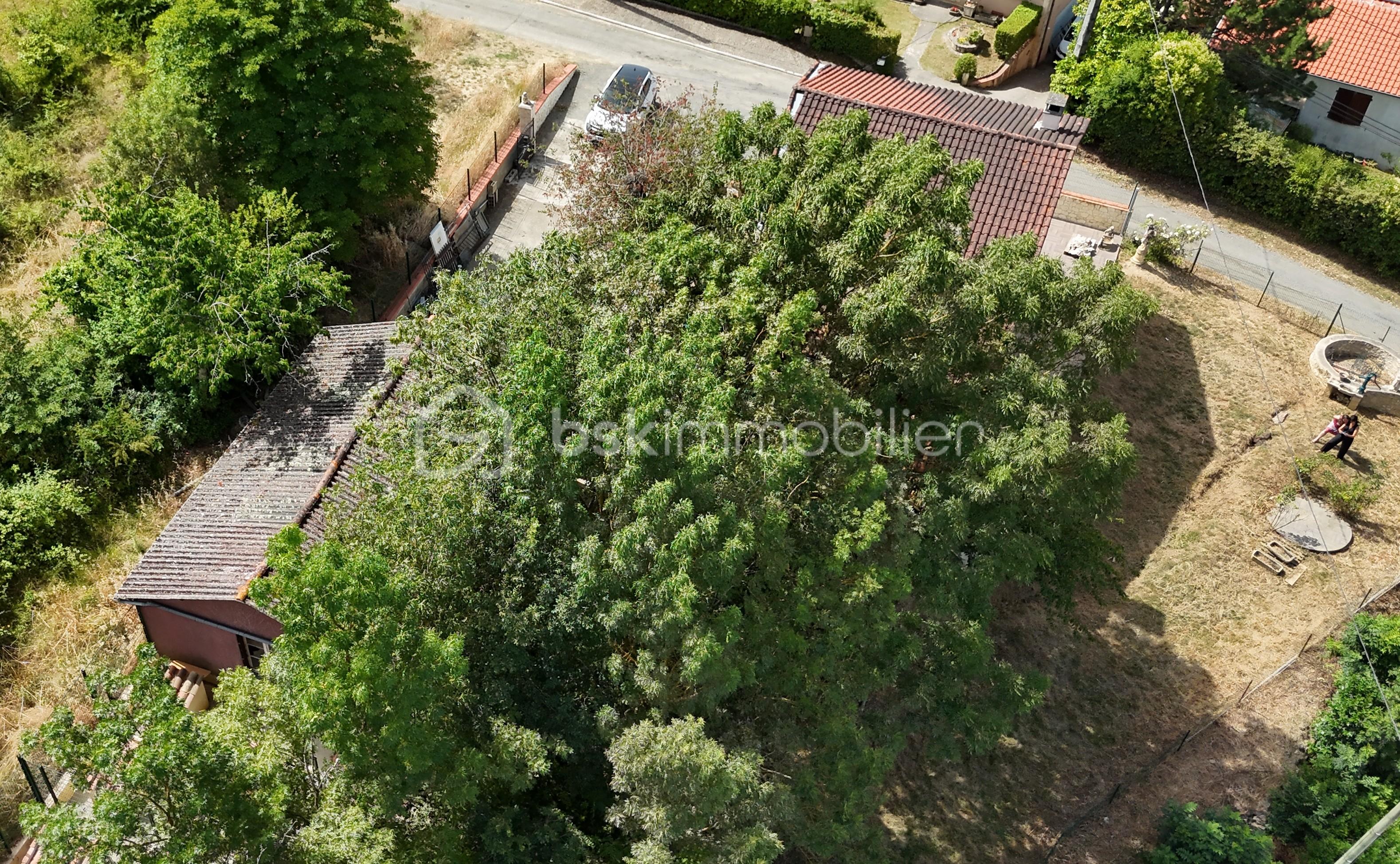 DJI_20250206140158_0079_D.JPG