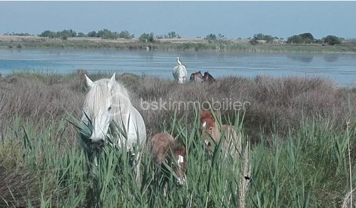 Maison de village de 63 m² - Capture d’écran 2026-01-16 à 10.45.09.png