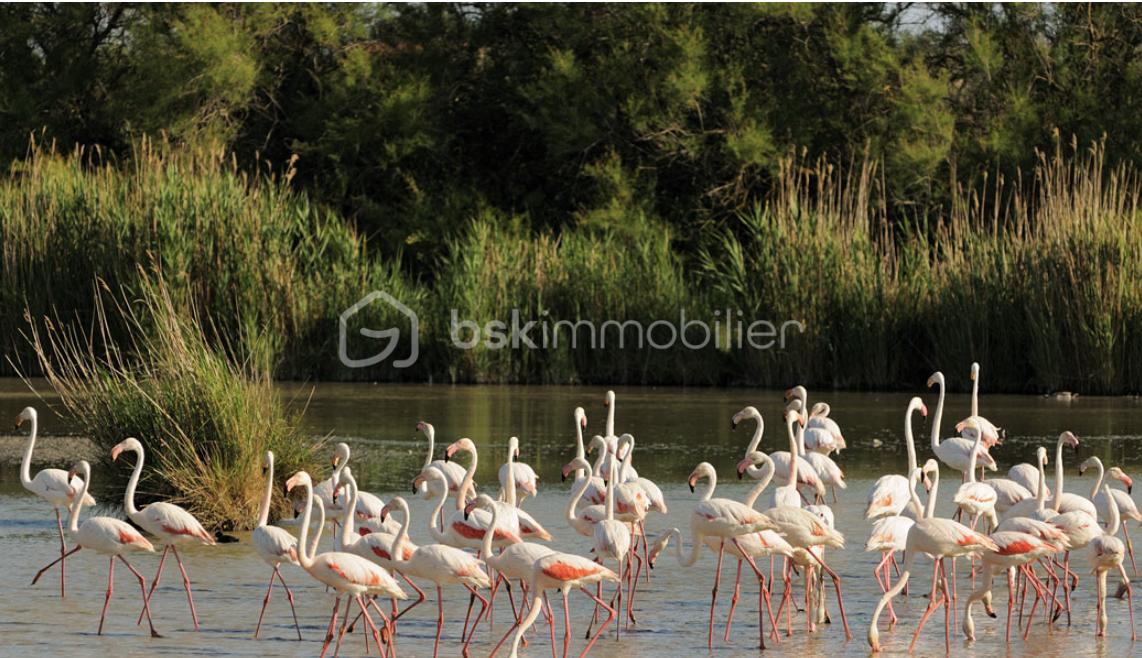 Maison de village de 63 m² - Capture d’écran 2026-01-16 à 10.47.54.png