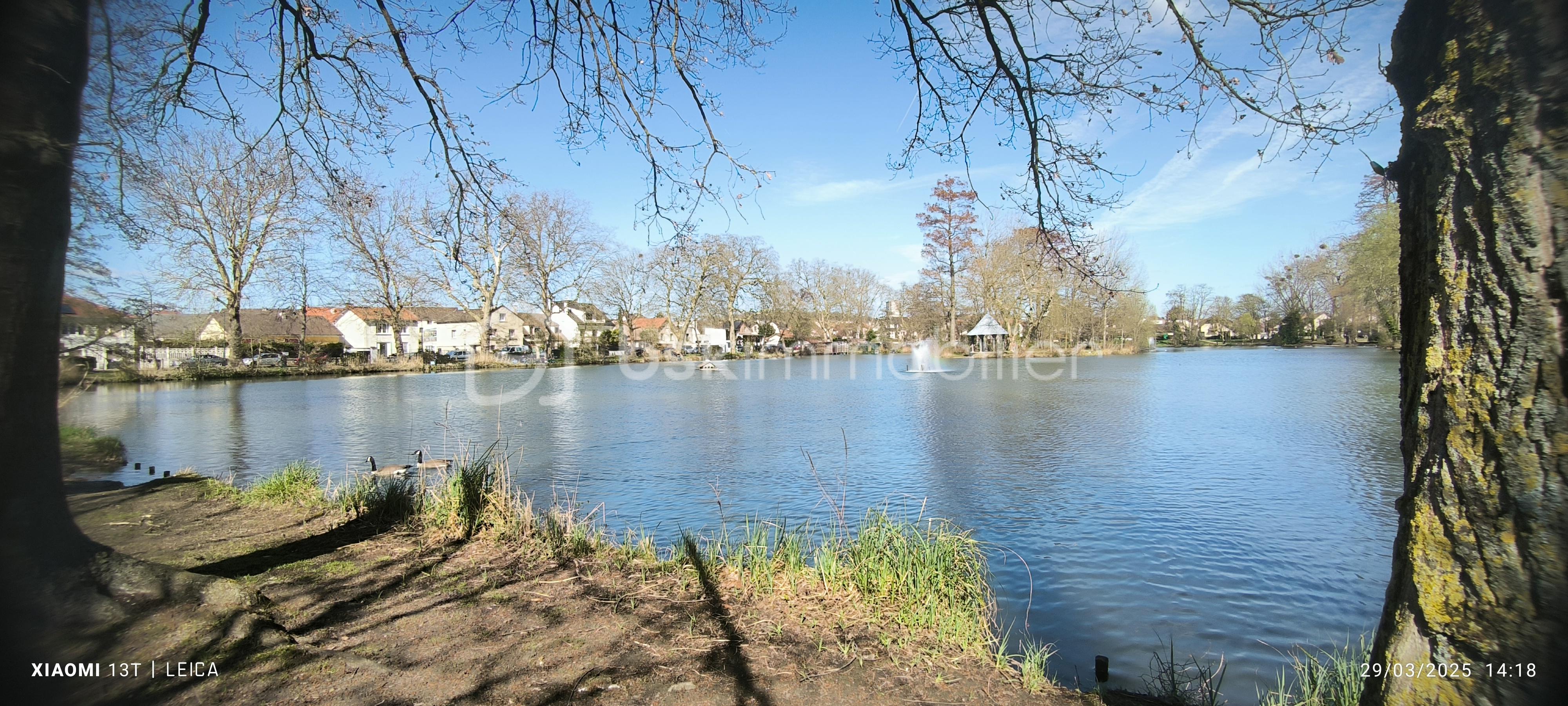 lac 1.jpg