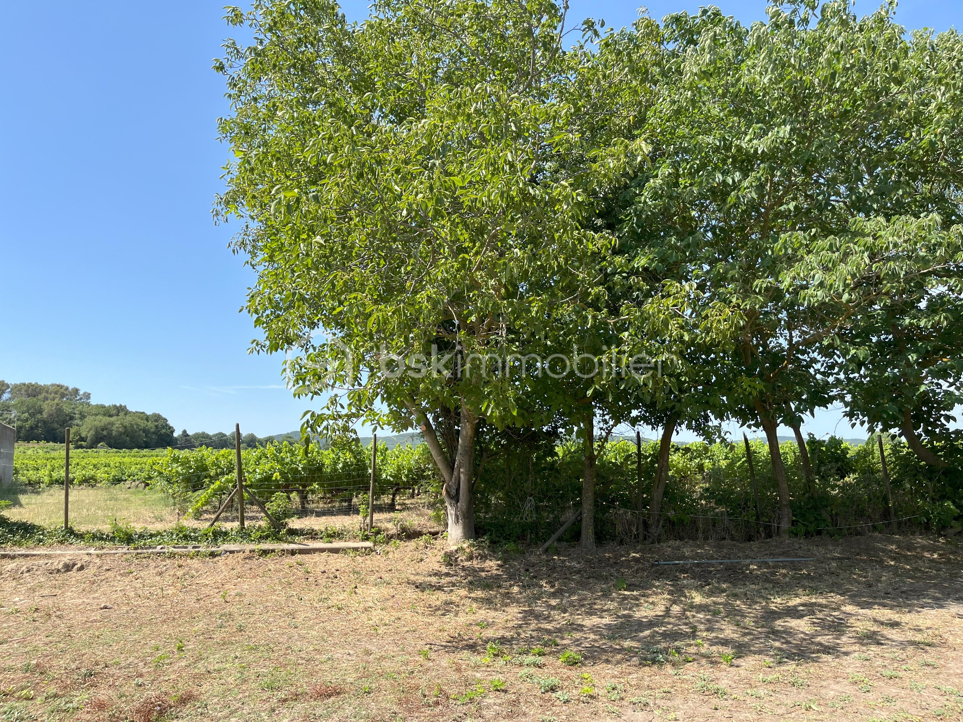 Terrain de 993 m² - photo terrain.jpeg