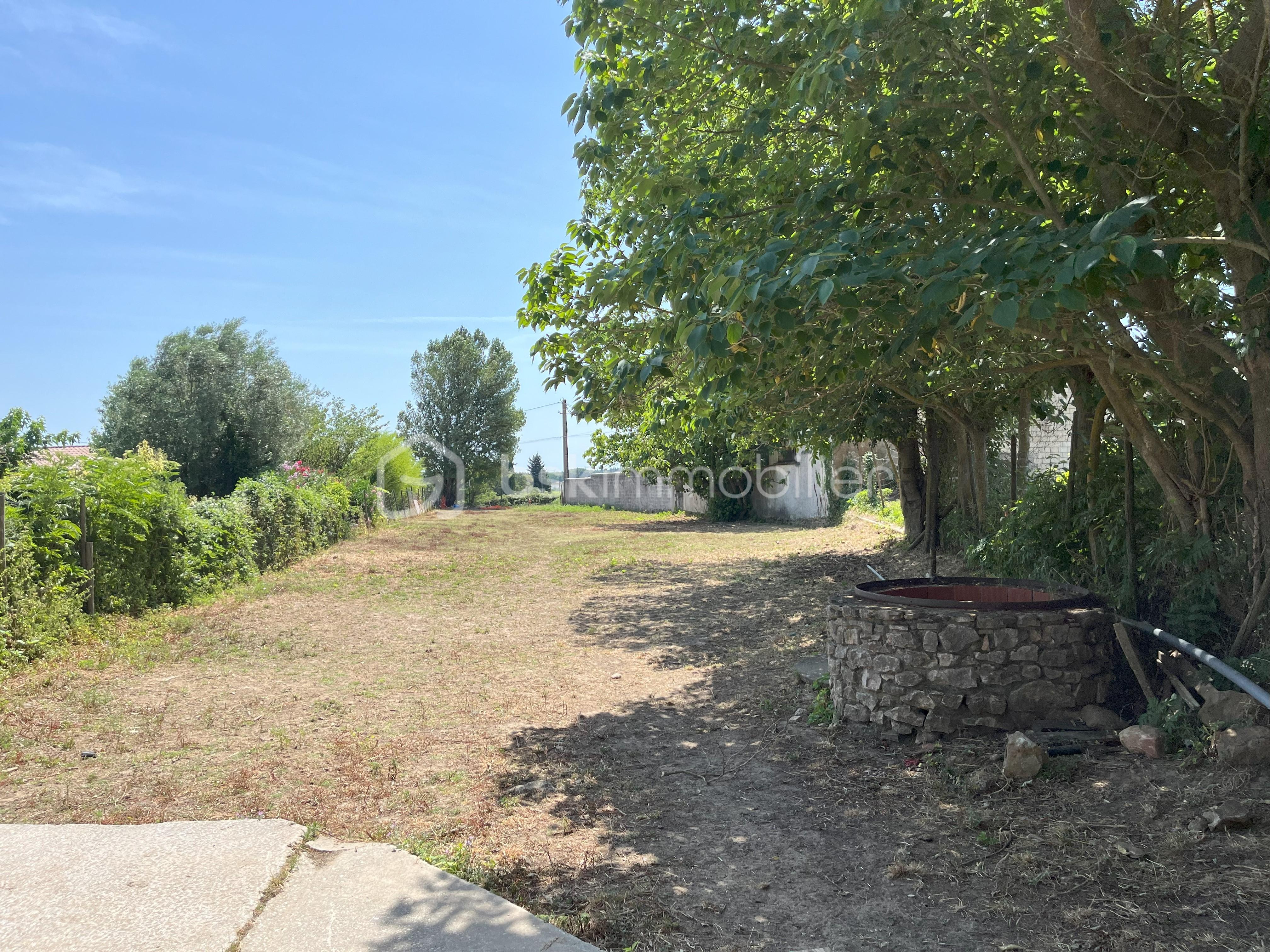 Terrain de 993 m² - terrain bis.jpeg