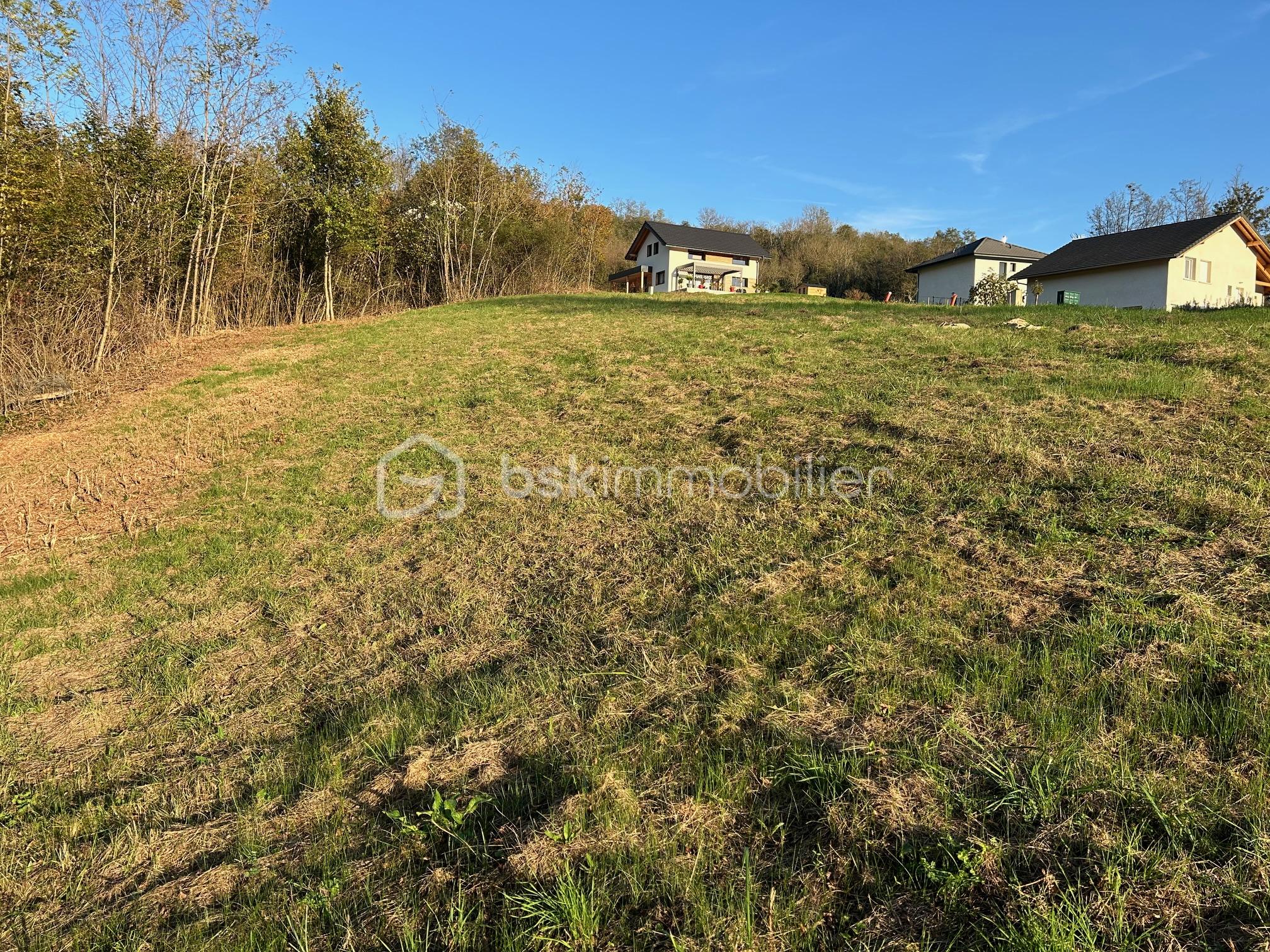Lotissement de 712 m² - Vue du terrain du bas 712m2 .1.jpg