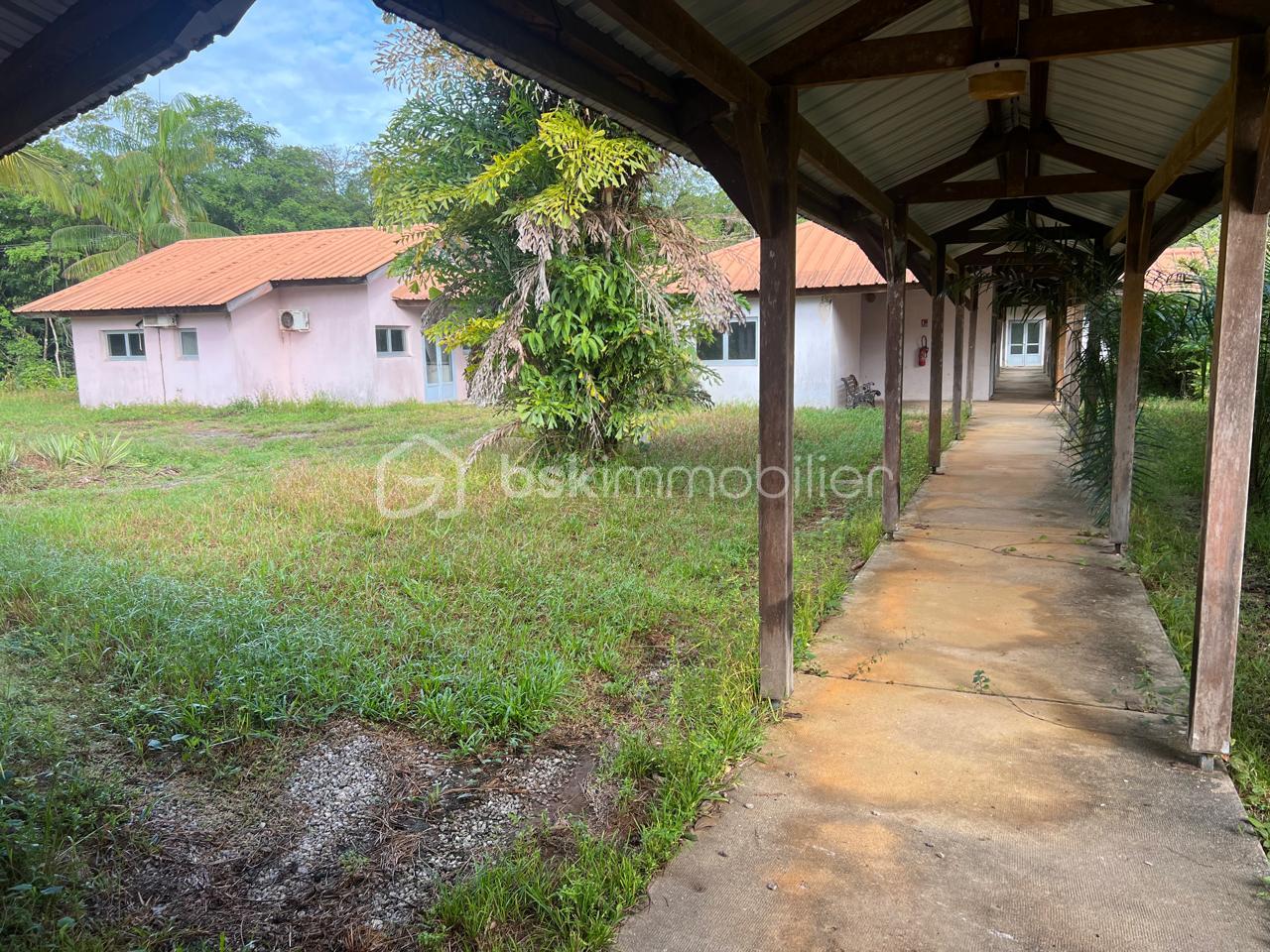 PHOTO-2025-06-05-19-50-26 (2).jpg