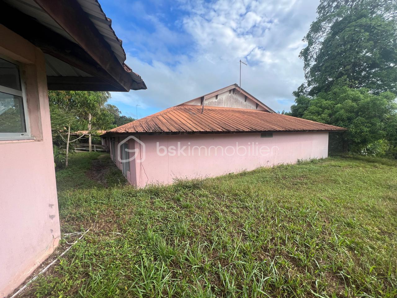 PHOTO-2025-06-05-19-50-26 (1).jpg