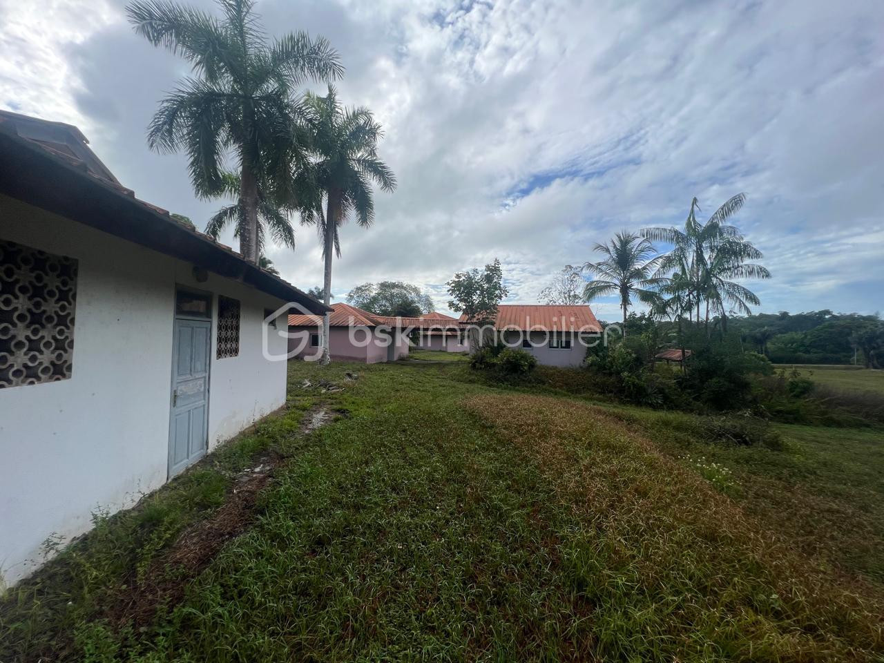 PHOTO-2025-06-05-19-50-28 (1).jpg