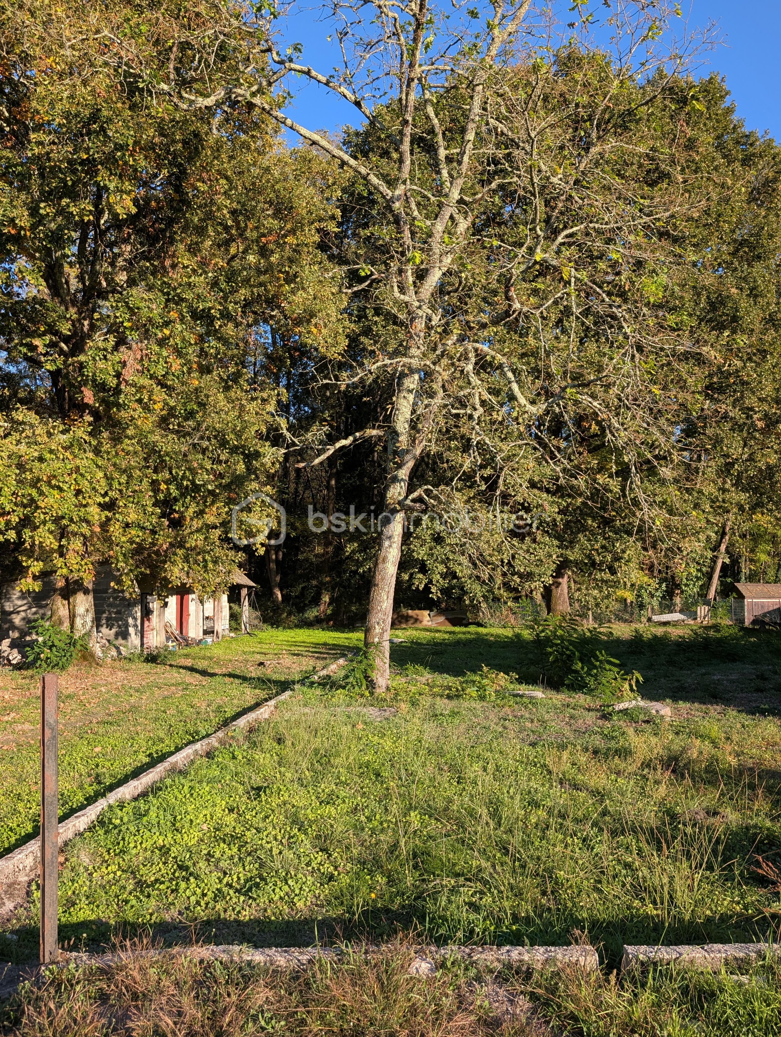 Maison contemporaine de 112 m² - 1000010713.jpg