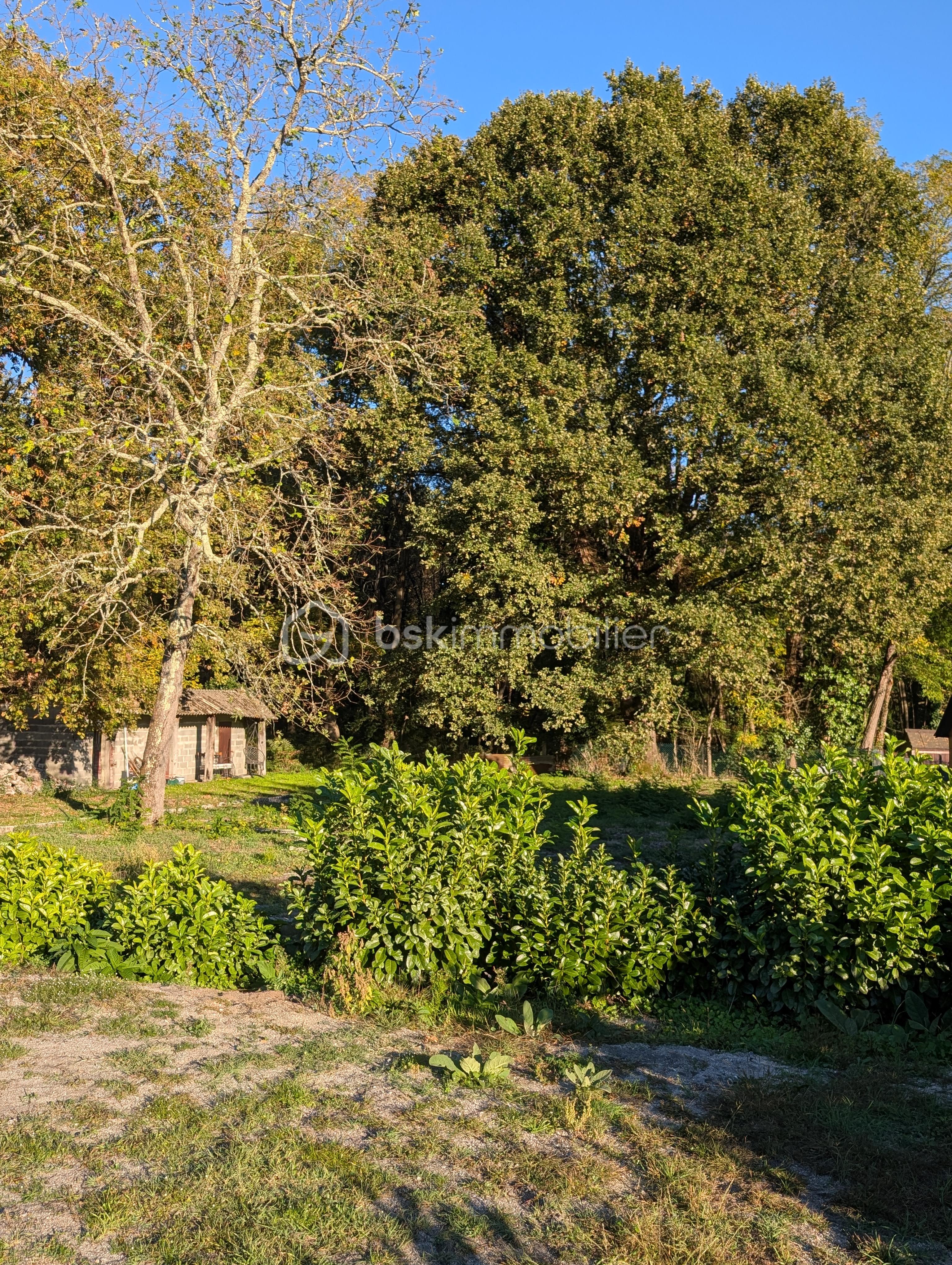Maison contemporaine de 112 m² - PXL_20251015_155135177.jpg
