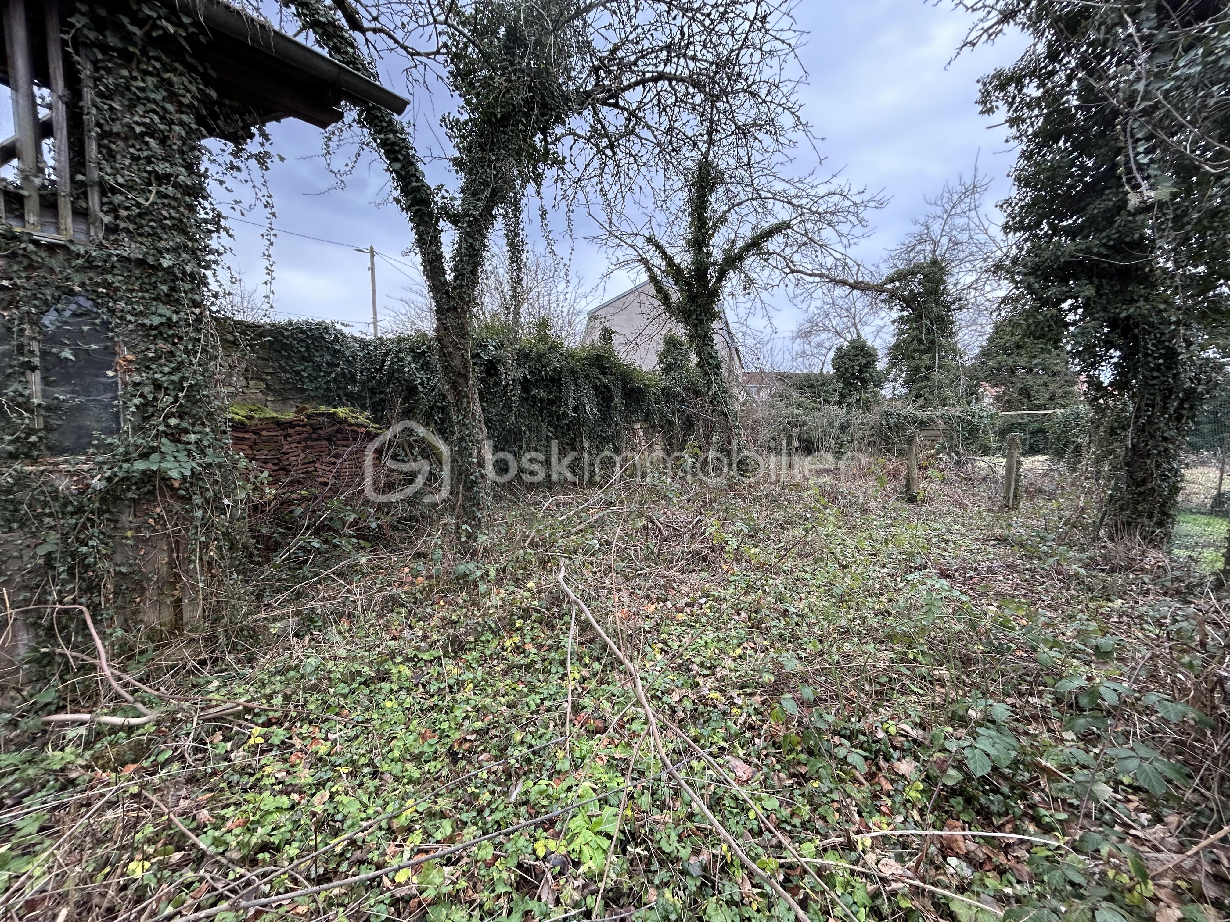 Local commercial de 321 m² - 17501.jpg