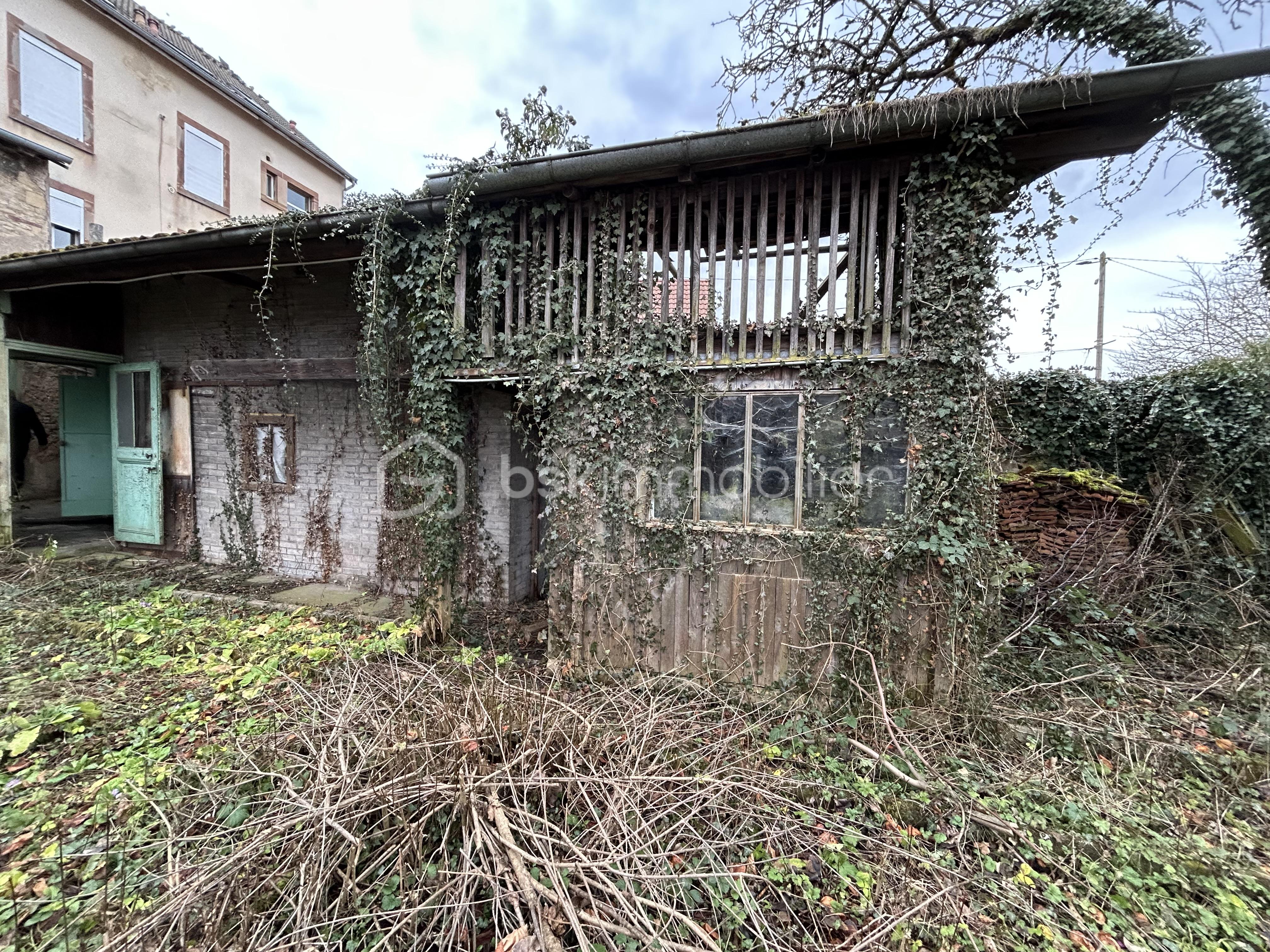 Local commercial de 321 m² - 17502.jpg