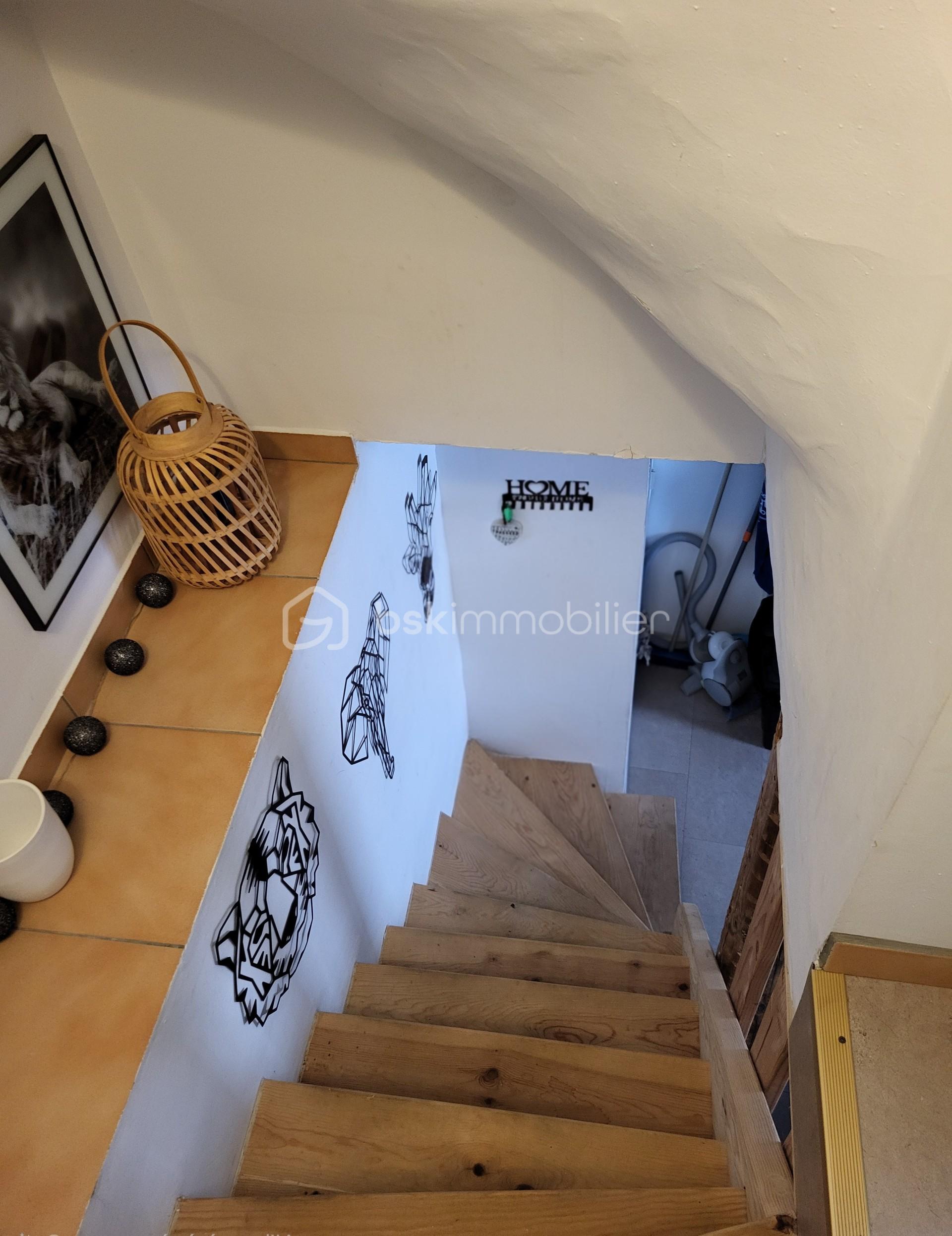 b303e809-13c8-4589-9f54-49b7f37666d5.jfif