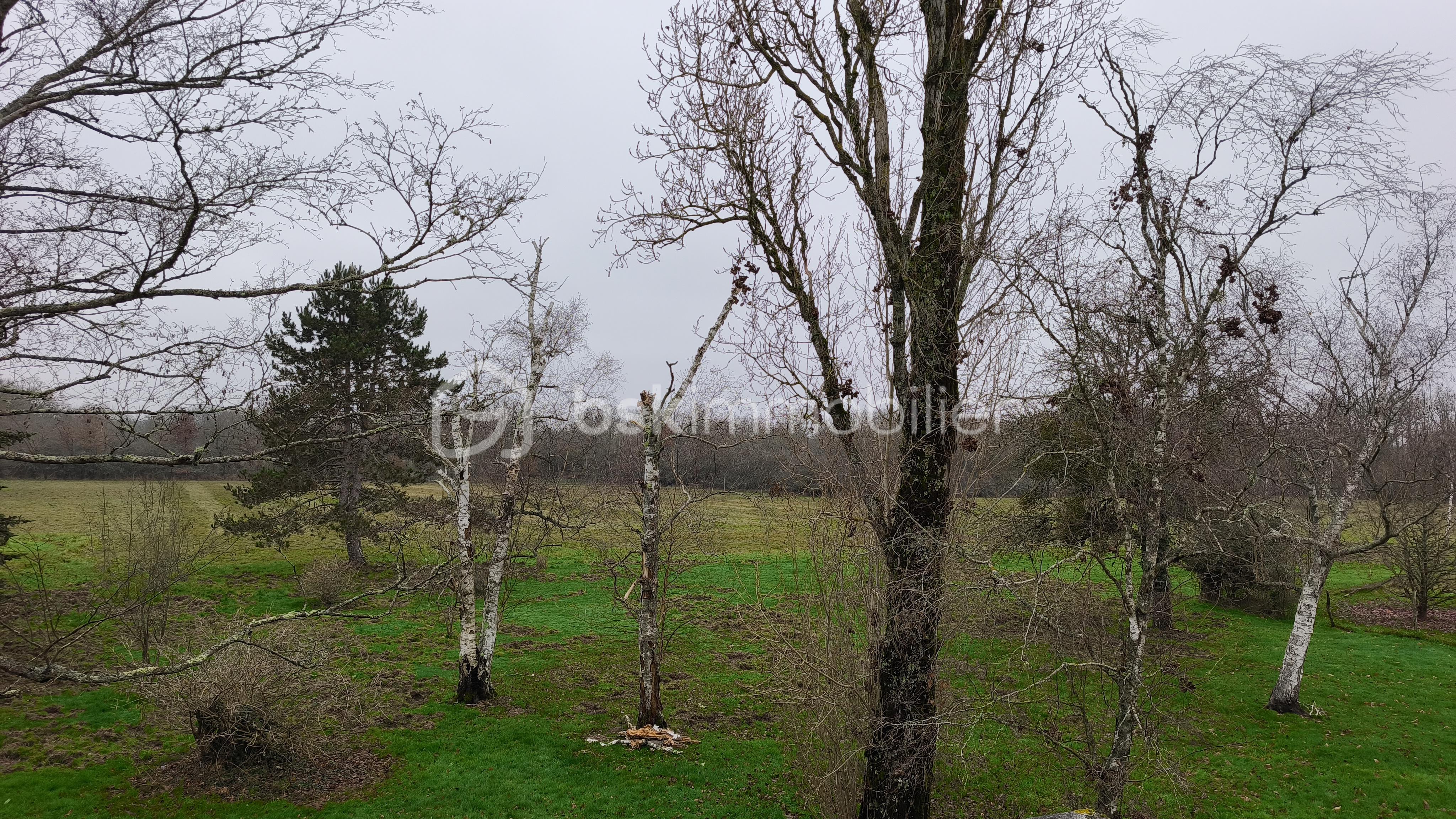 Maison longere de 140 m² - 1766503760881.jpg