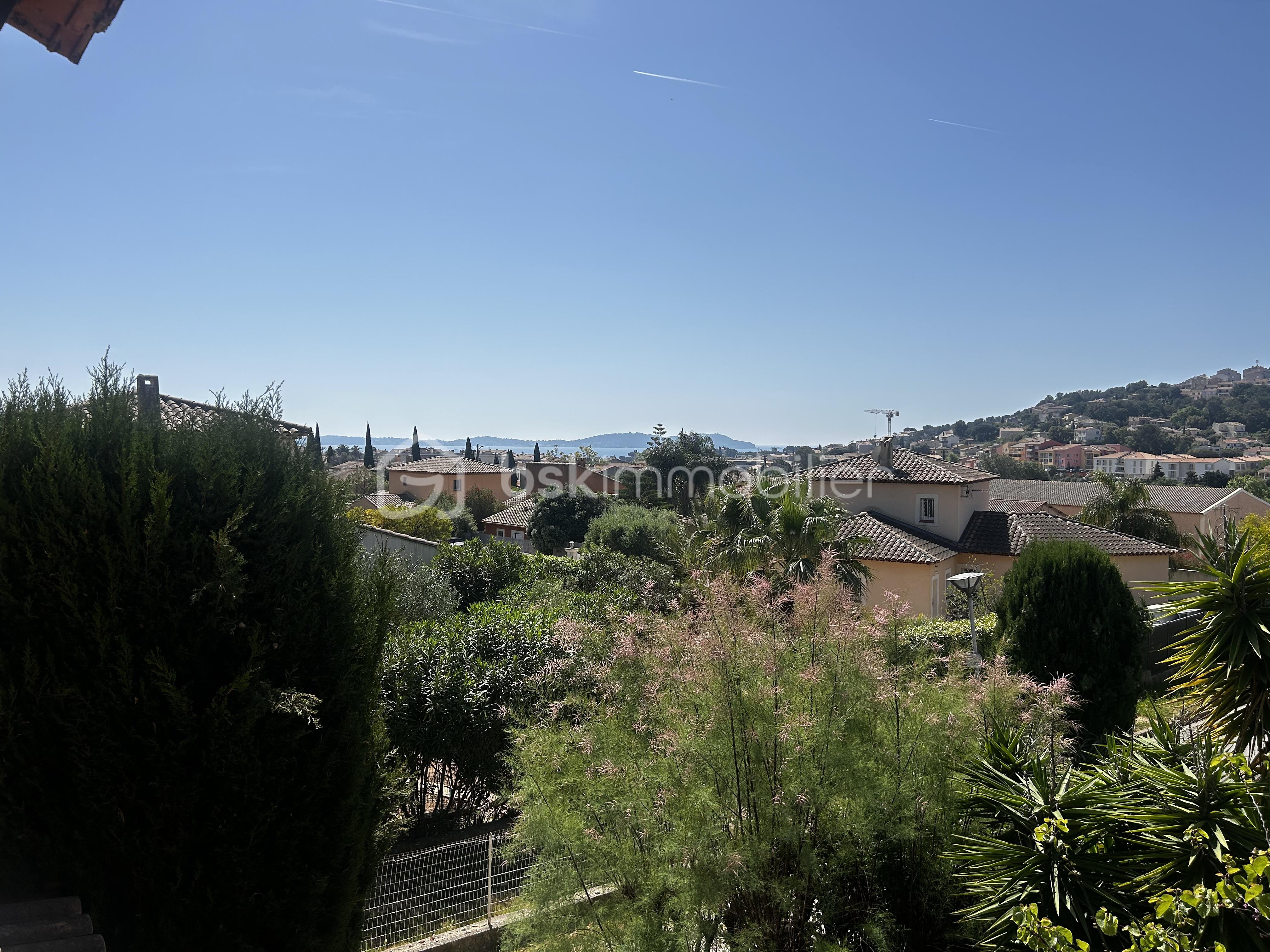 IMG_5466.jpeg