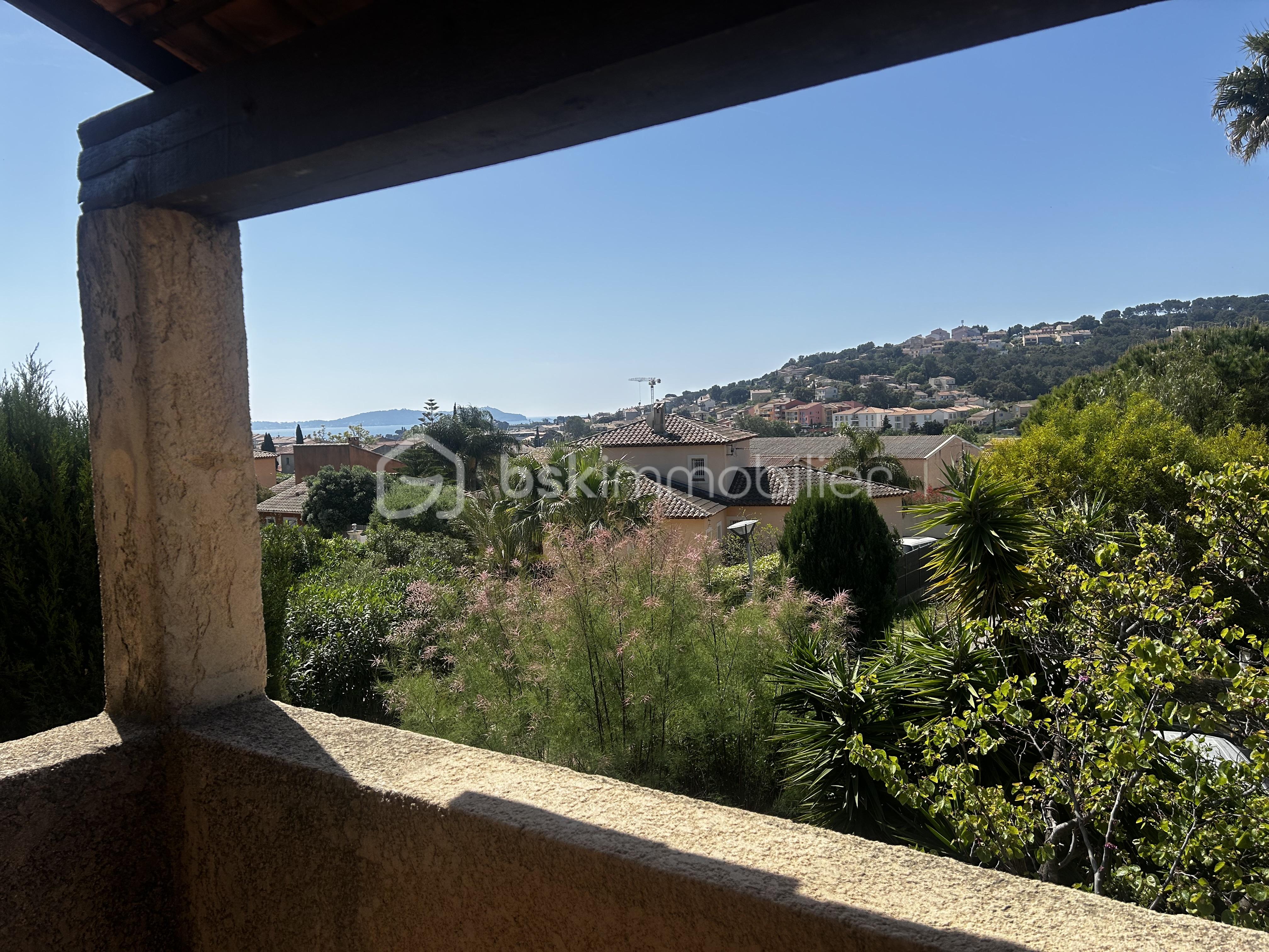 IMG_5465.jpeg