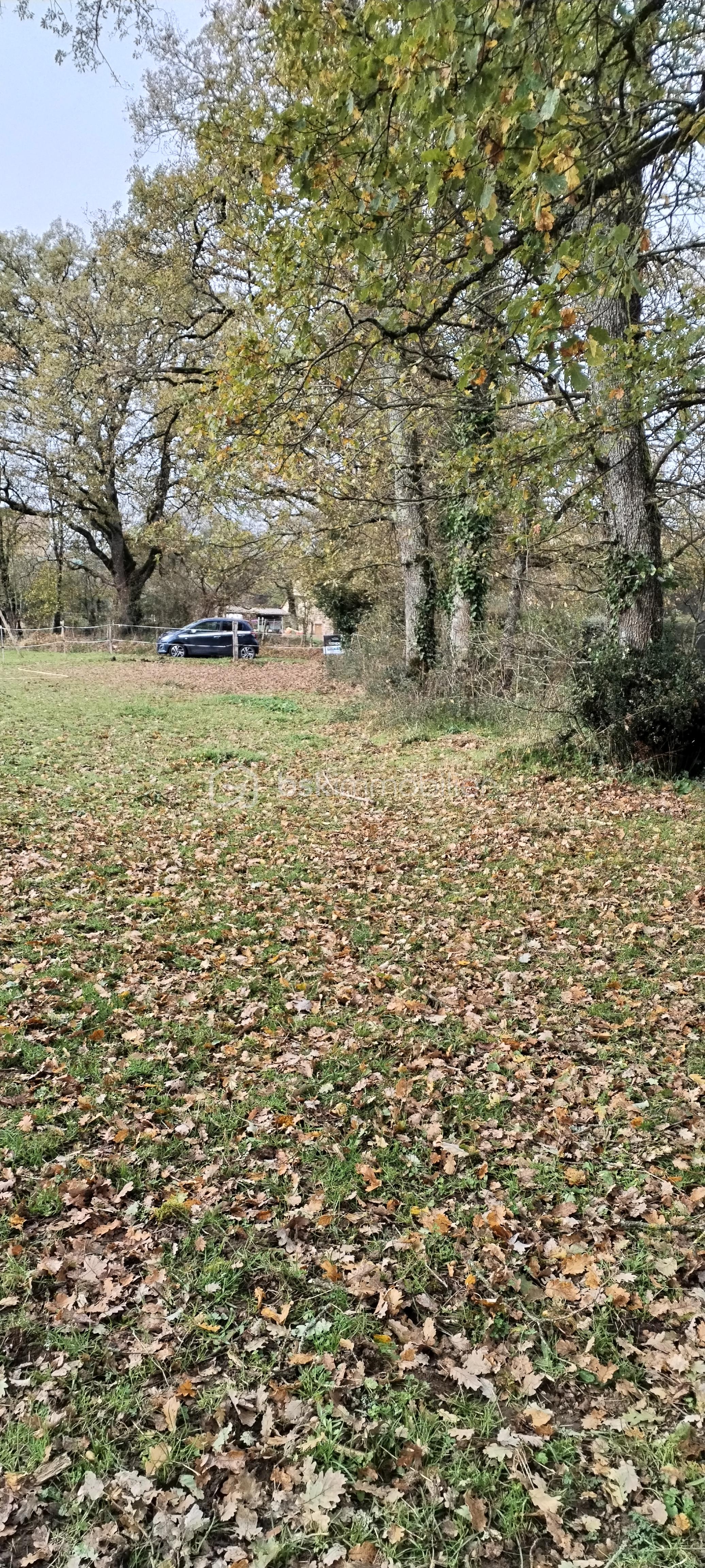 Terrain de loisirs de 2 551 m² - IMG_20251119_123226.jpg