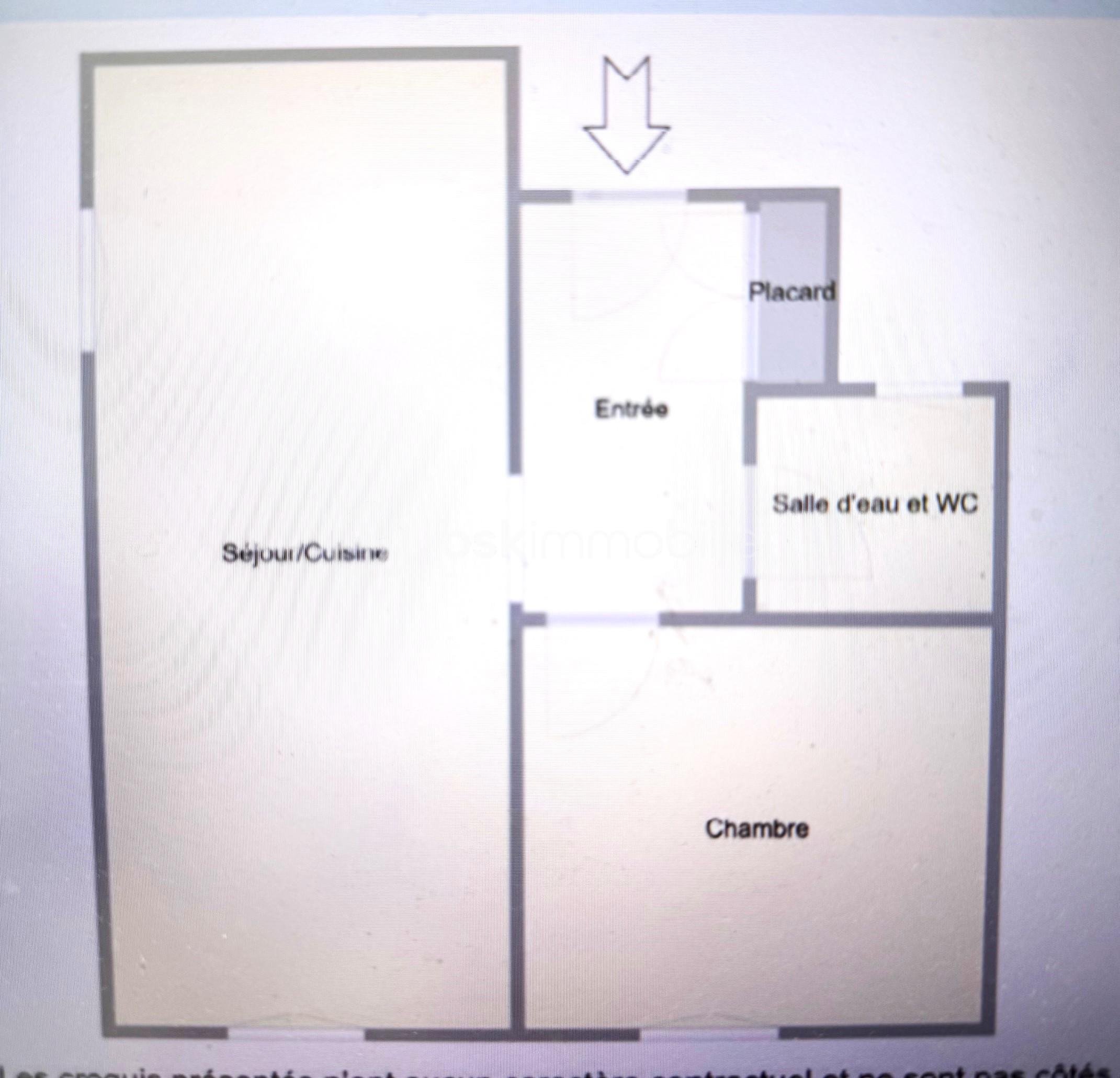 Appartement de 45 m² - IMG_1461.jpg