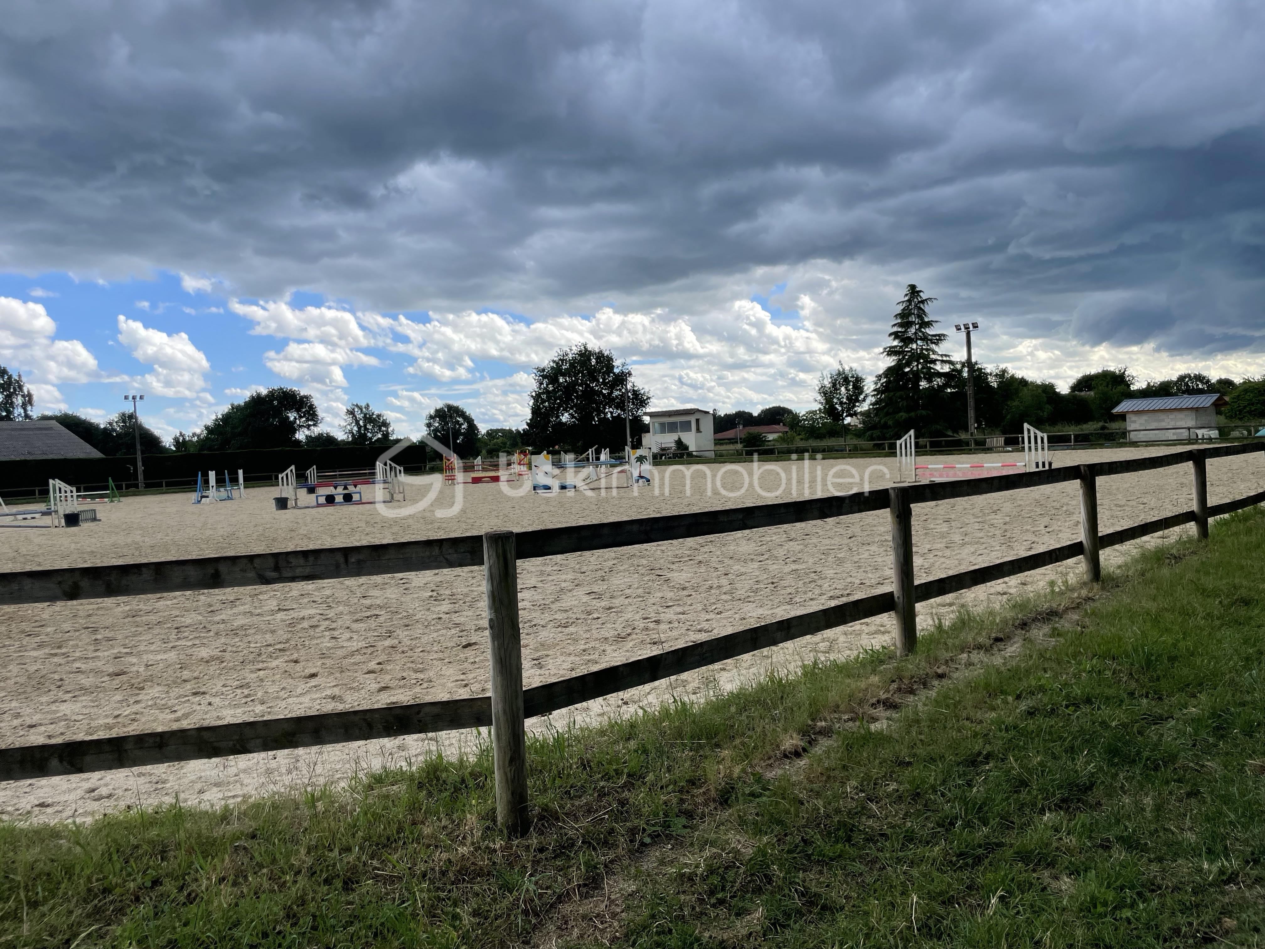 IMG_1879.jpeg