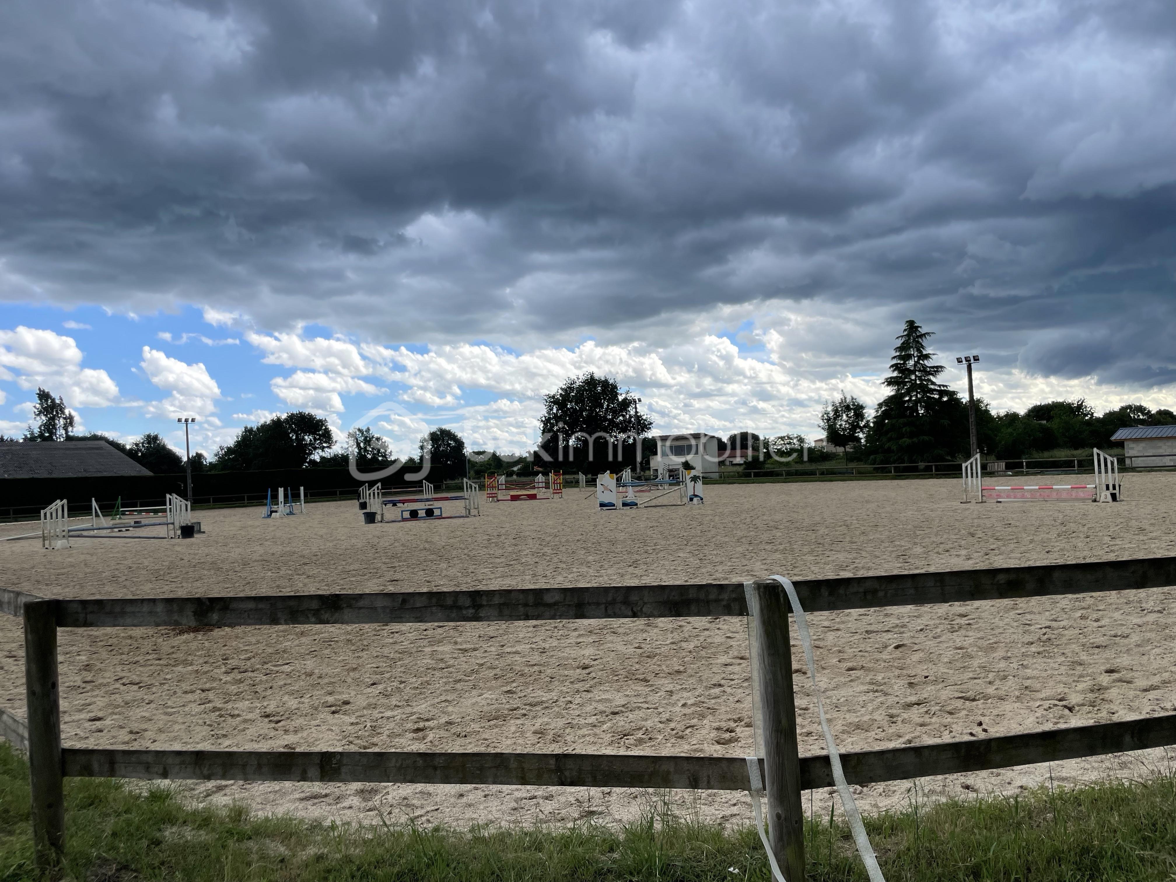 IMG_1876.jpeg