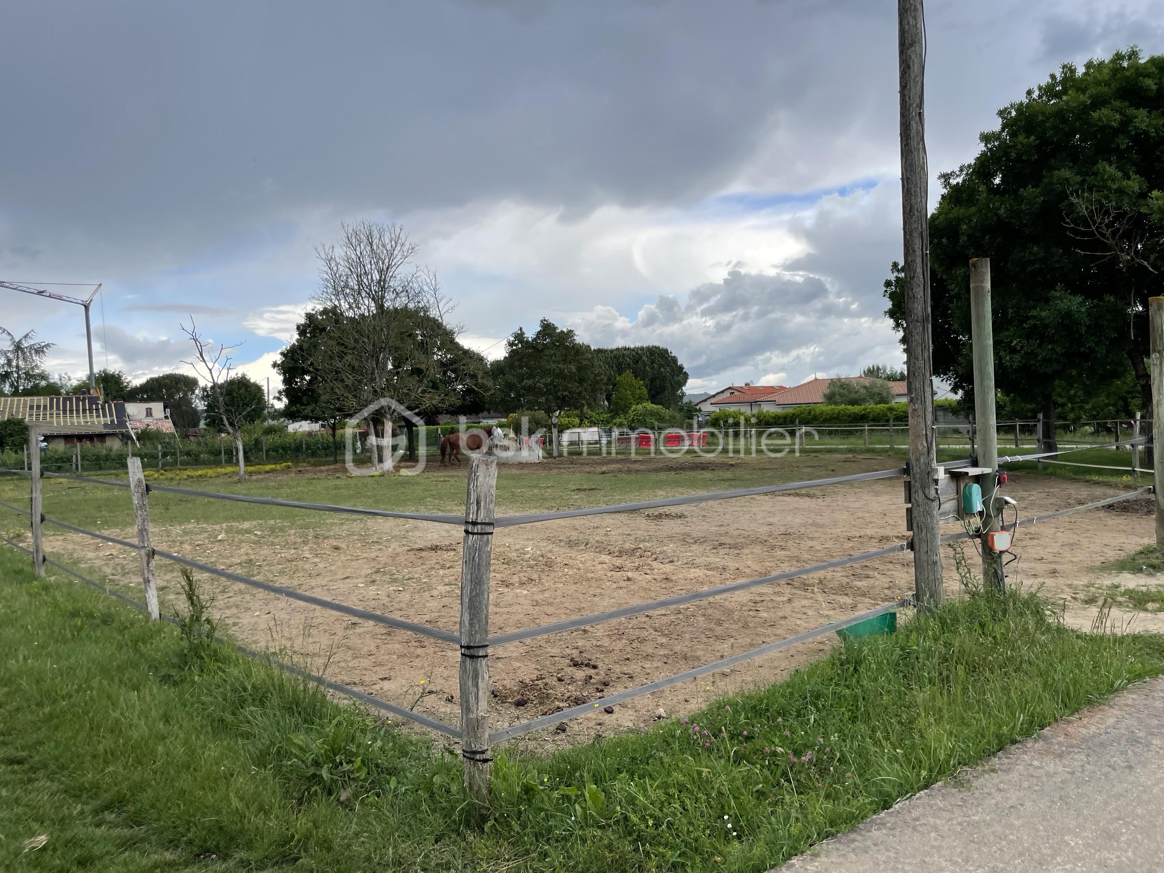 IMG_1875.jpeg
