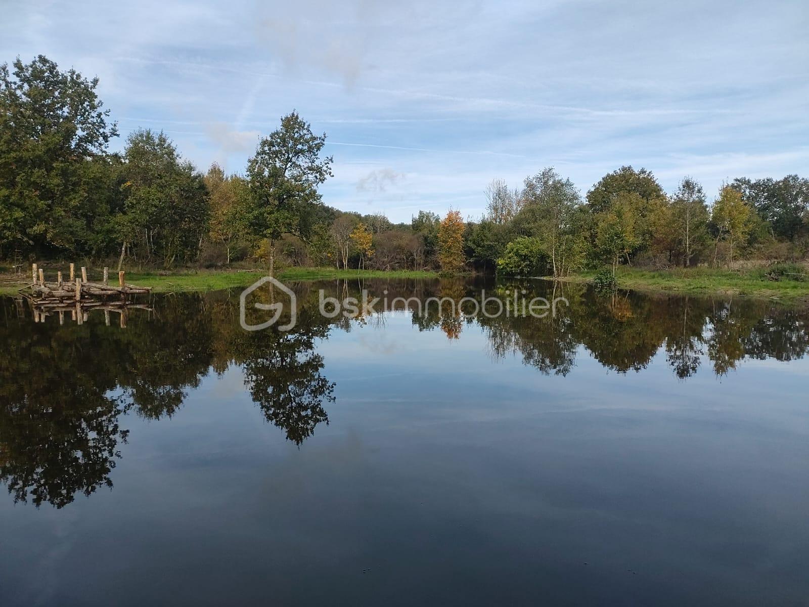 Terrain de 27 010 m² - 8.jpg