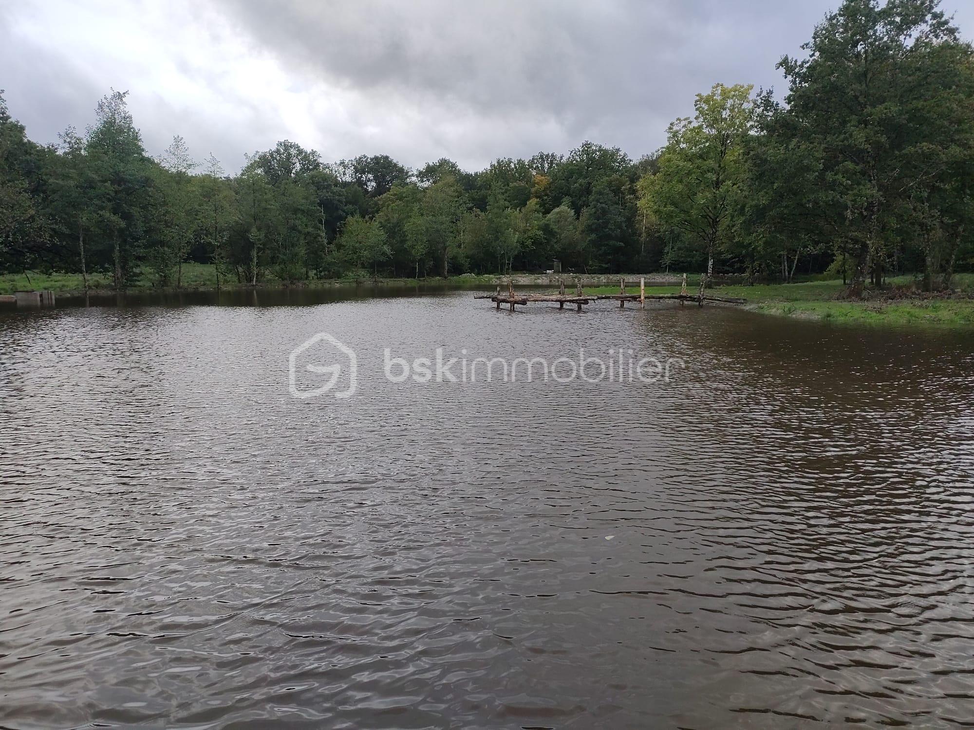 Terrain de 27 010 m² - 1.jpg