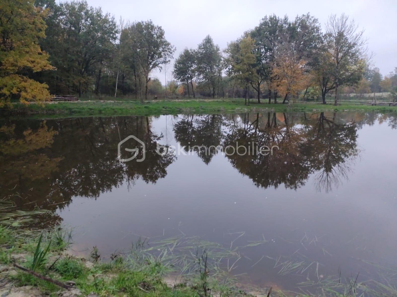 Terrain de 27 010 m² - 9.jpg