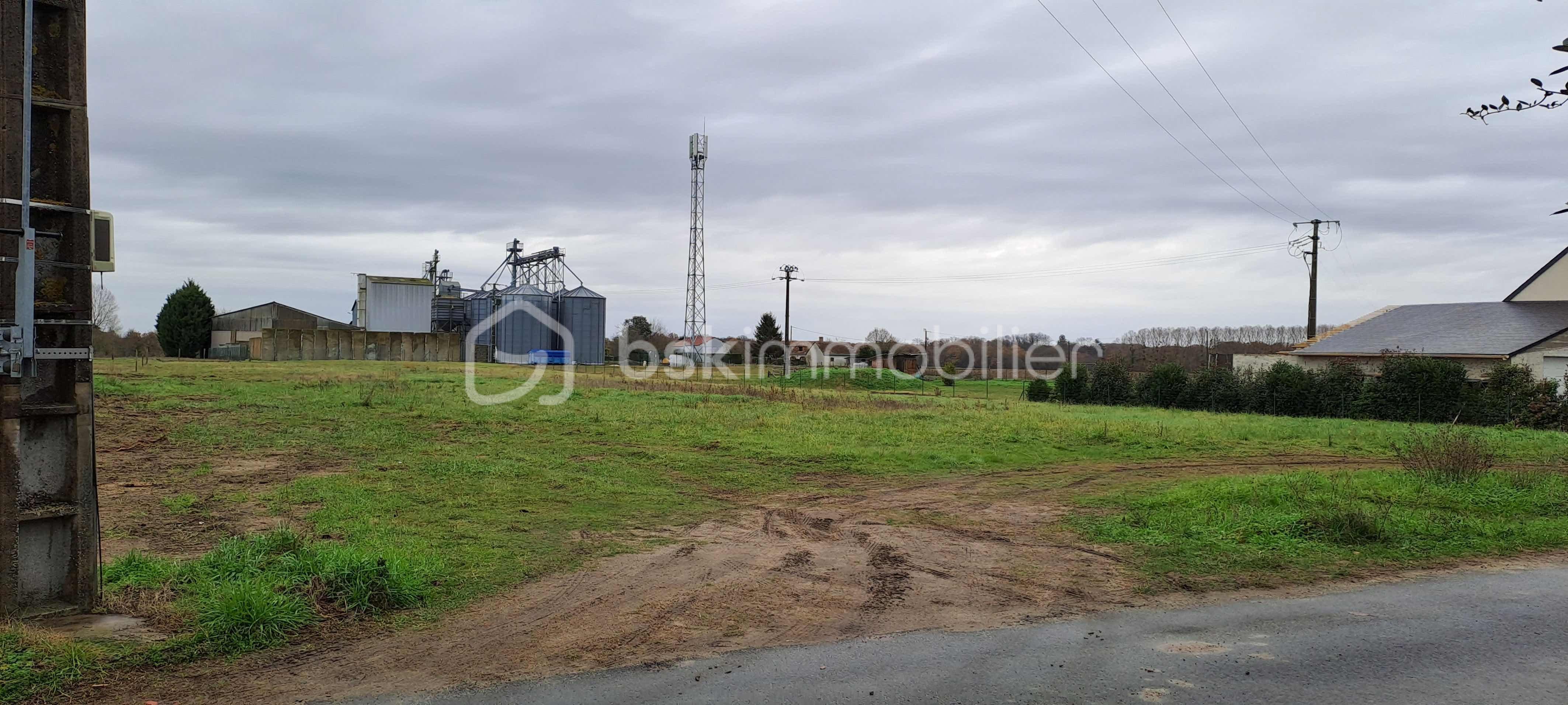 Terrain de 4 136 m² - PHOTO CHANNAY 2 ok.jpeg