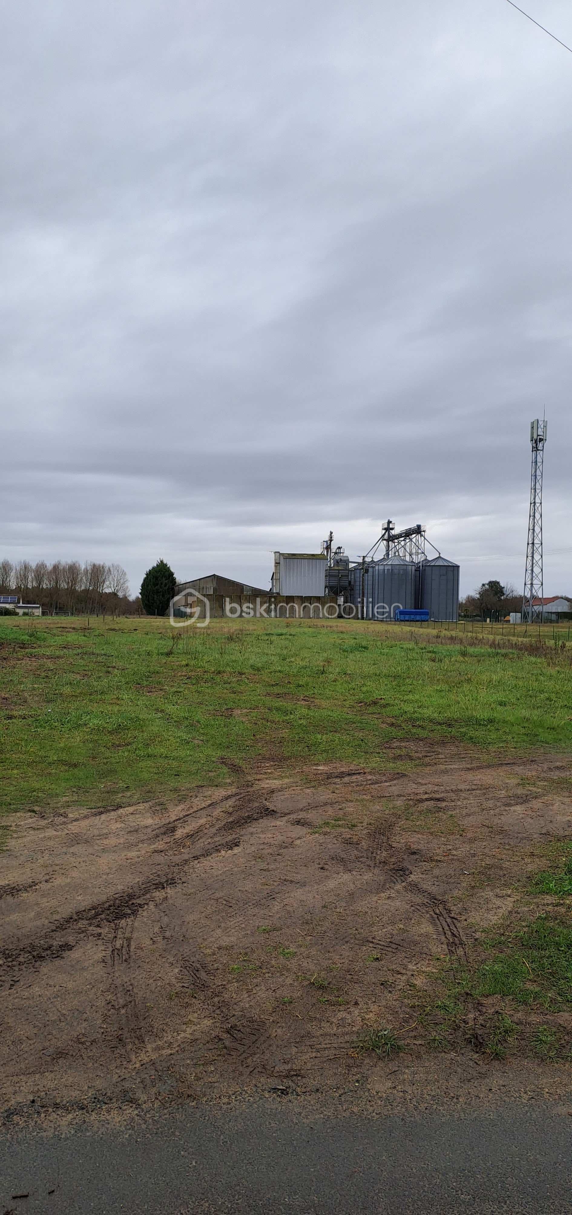 Terrain de 4 136 m² - PHOTO CHANNAY 1 ok.jpeg