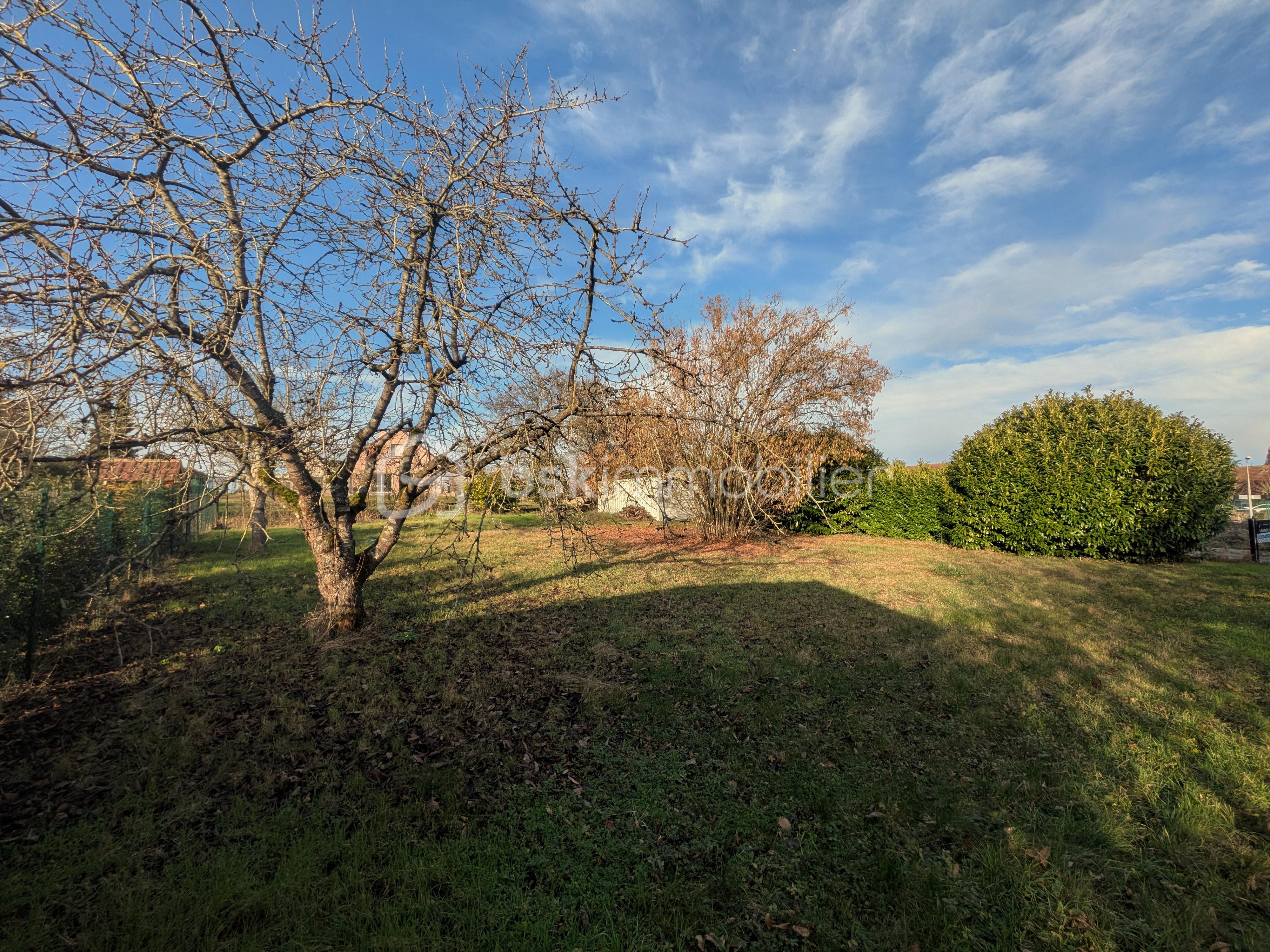 Lotissement de 700 m² - PXL_20260204_145339824.MP.jpg