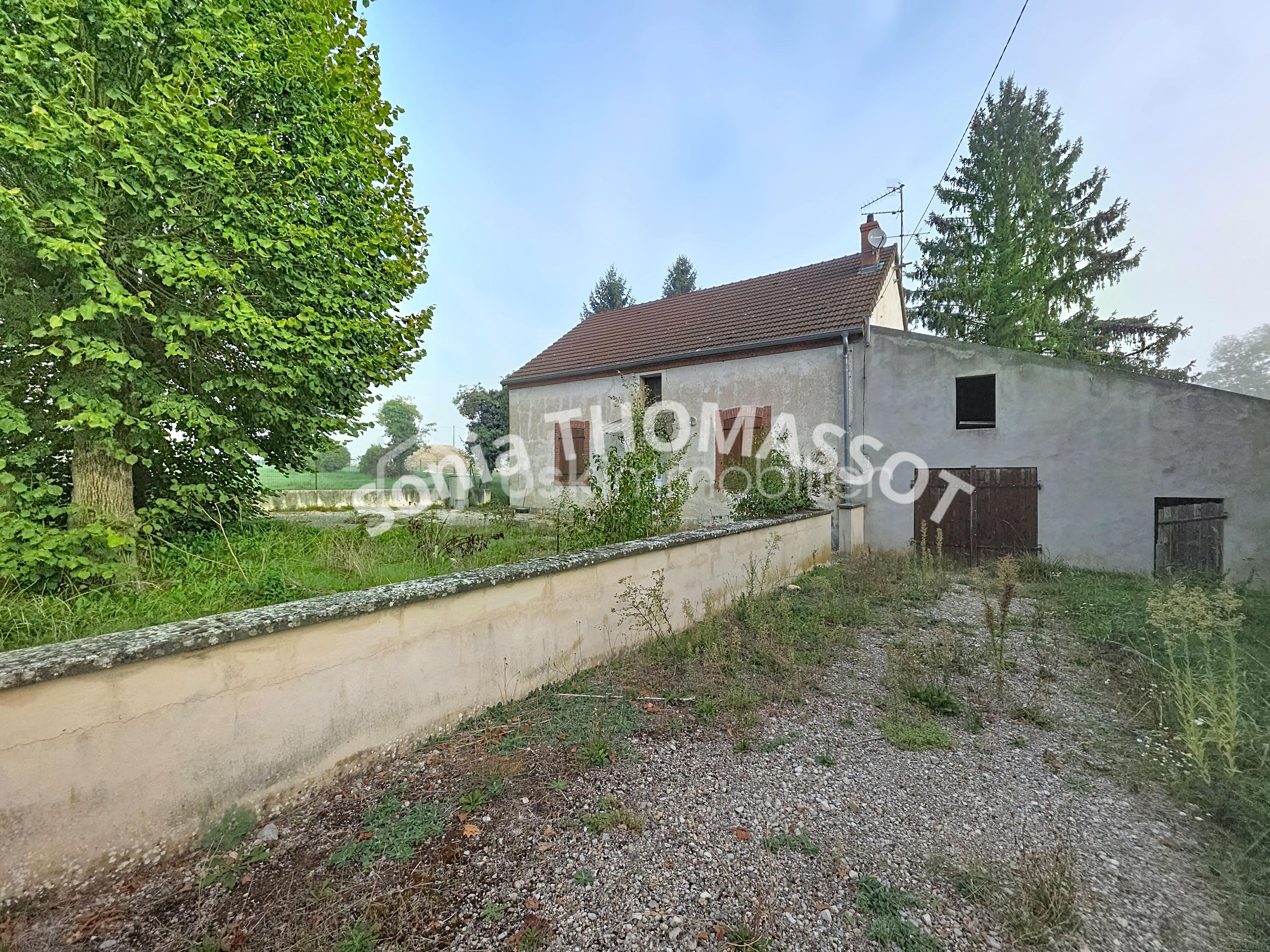 90203.jpg