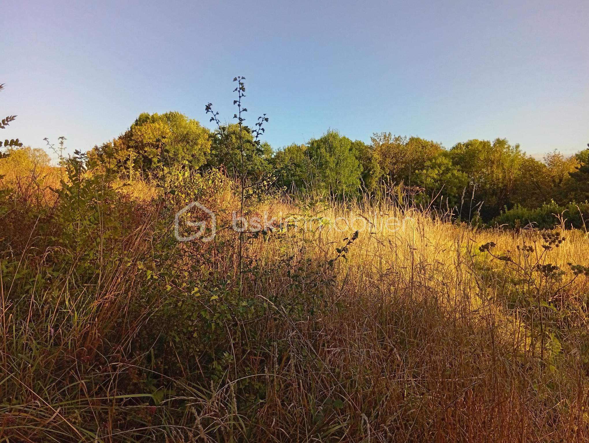 Lotissement de 2 729 m² - 1000001622.jpg