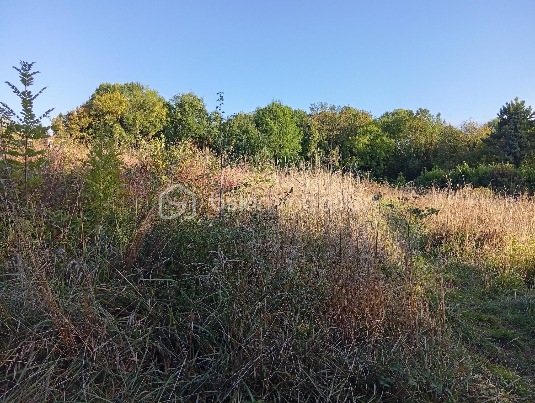 Lotissement de 2 729 m² - 1000001624.jpg