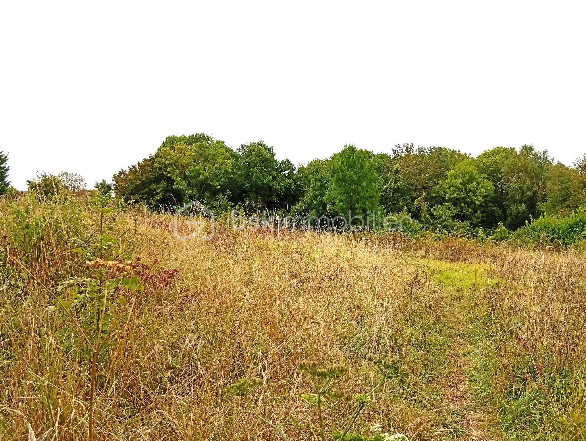 Lotissement de 2 729 m² - 1000001427.jpg