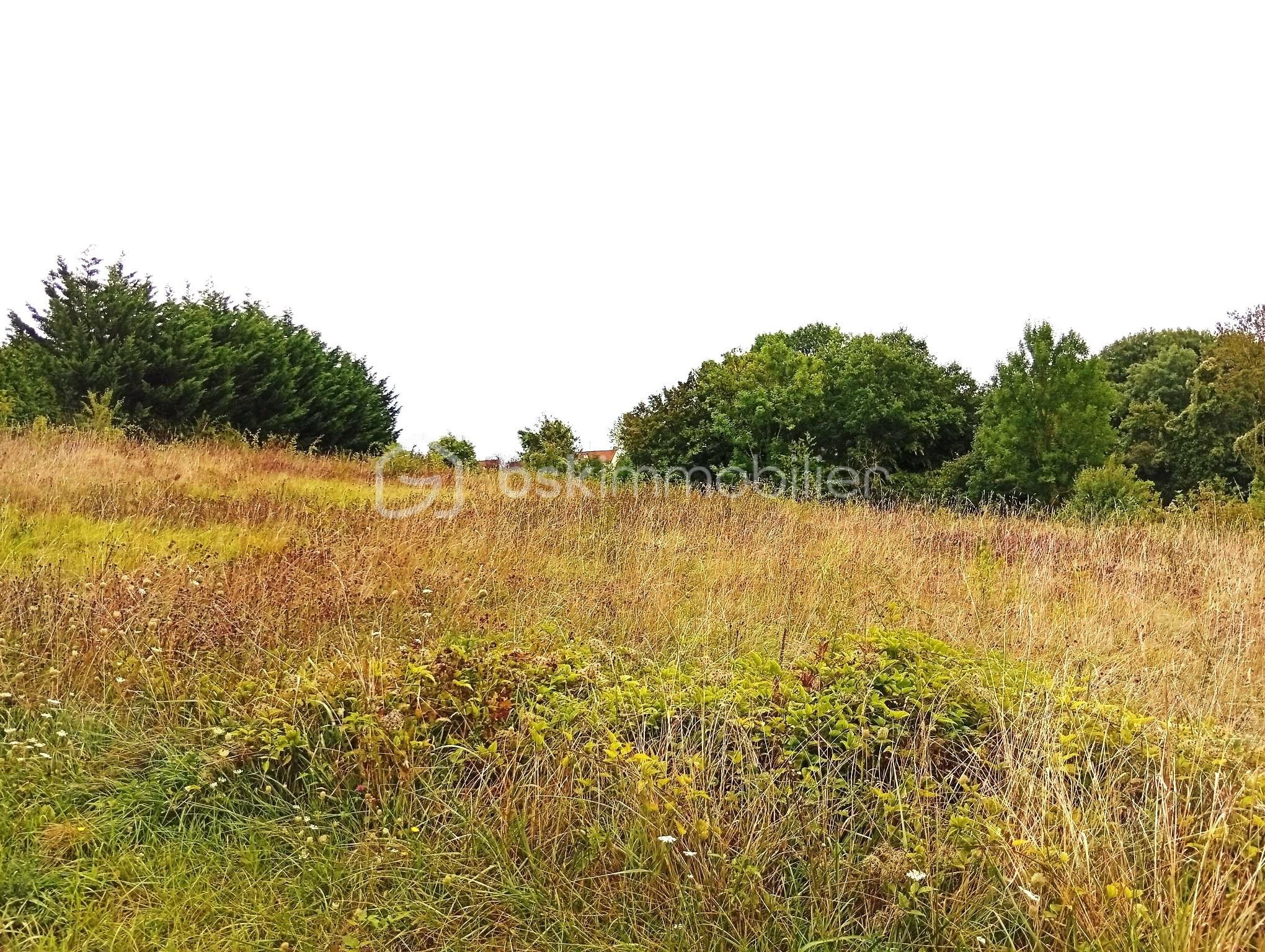 Lotissement de 2 729 m² - 1000001424.jpg