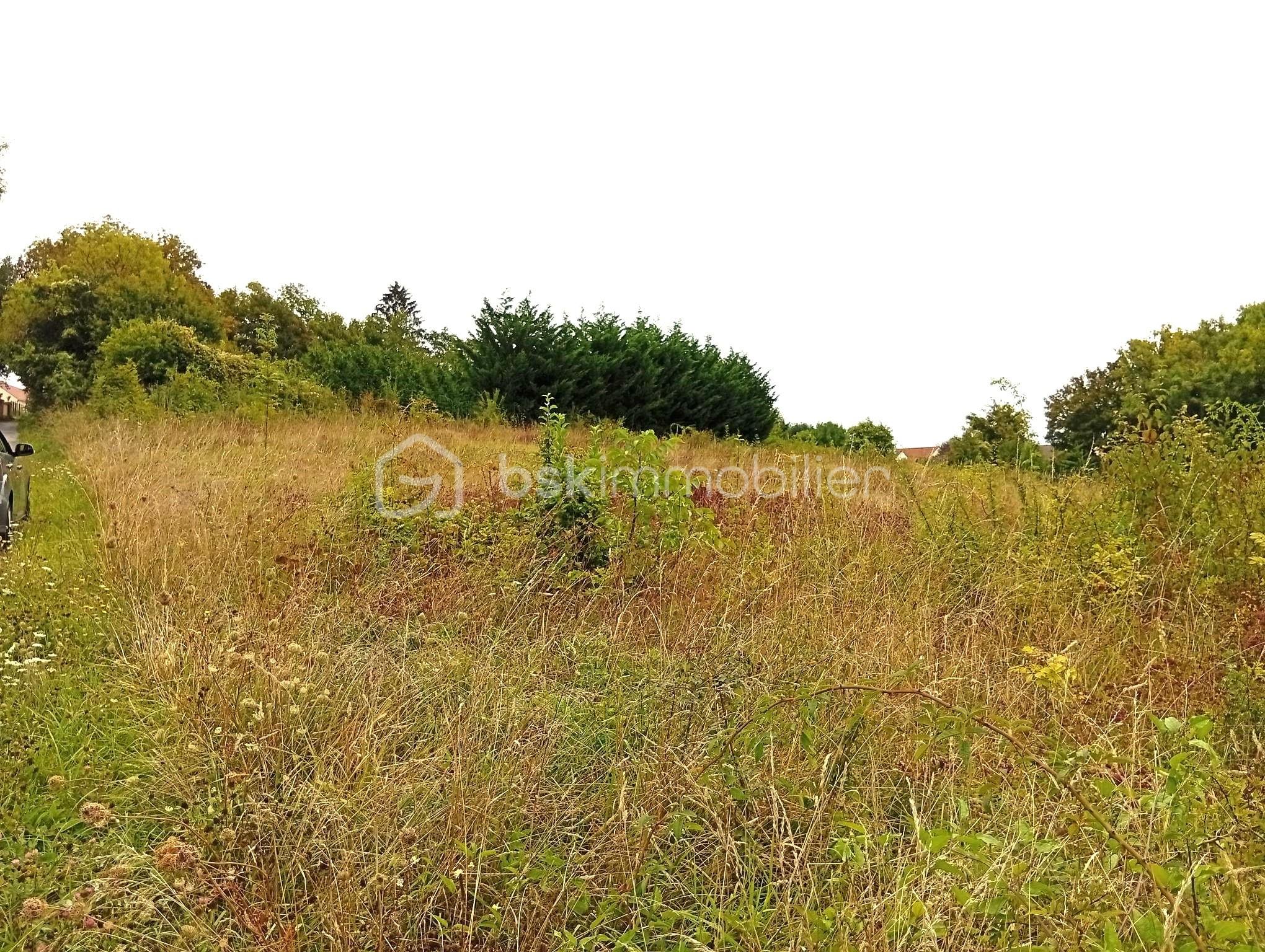 Lotissement de 2 729 m² - 1000001425.jpg