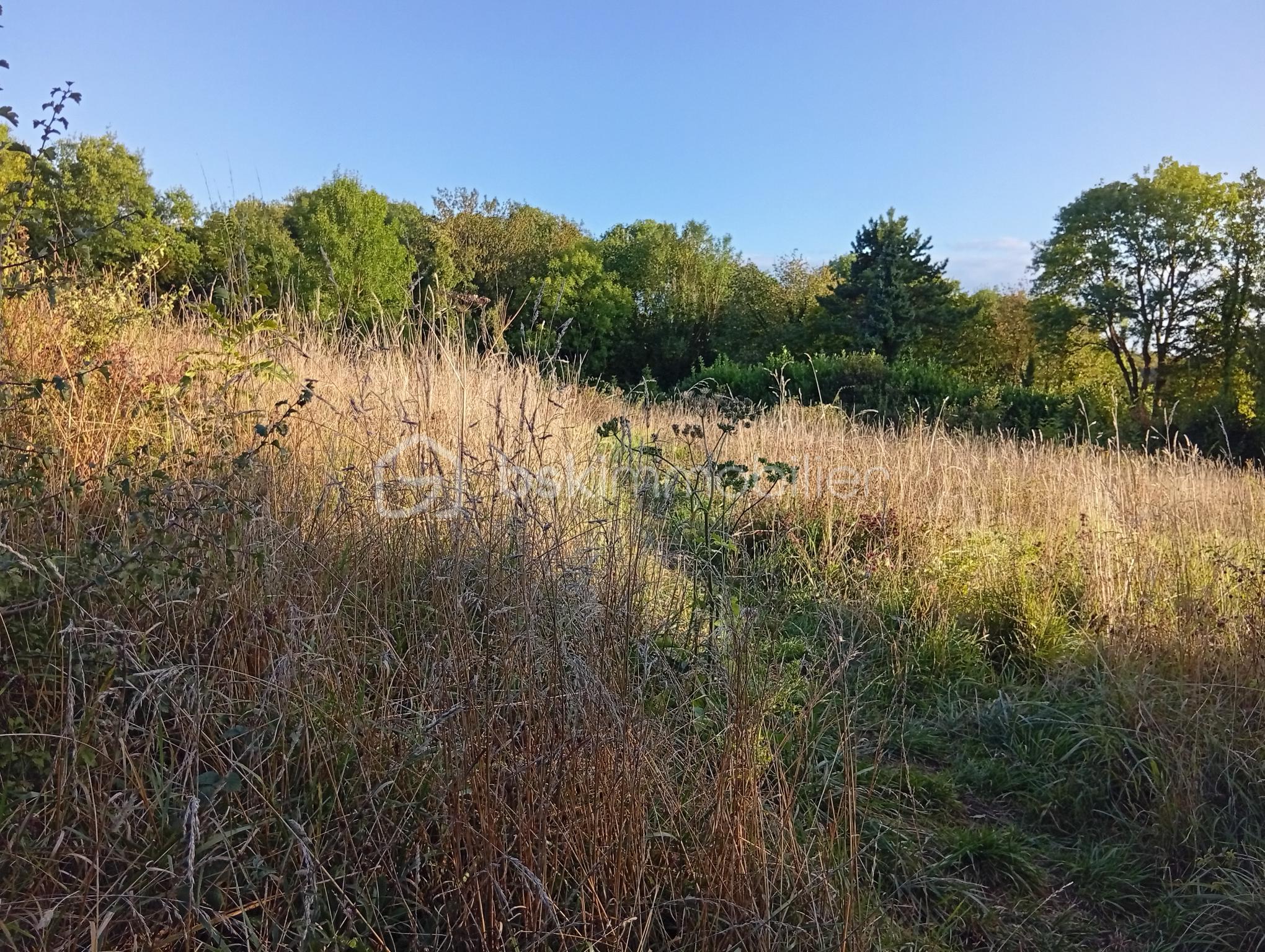 Lotissement de 2 729 m² - 1000001623.jpg