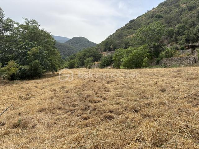 Terrain ria 4.jpeg