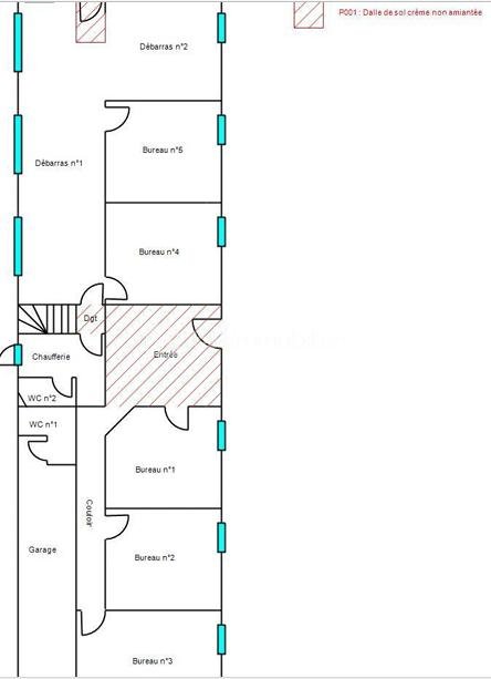 Maison de 330 m² - Croquis RDC.PNG