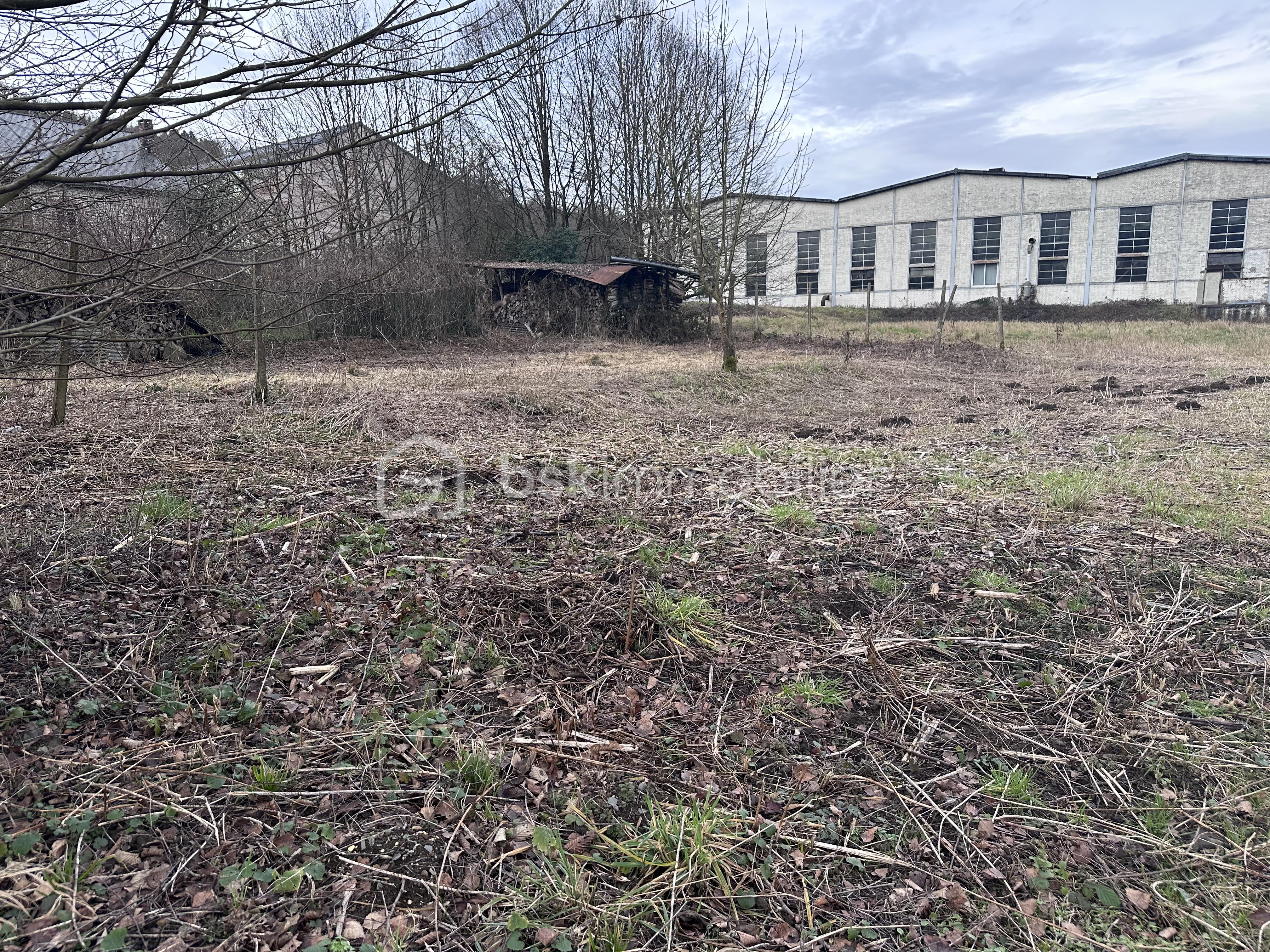 Terrain de loisirs de 962 m² - IMG_9199.jpeg