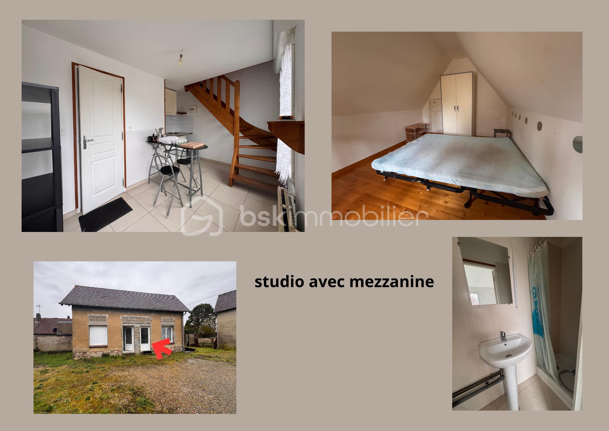 studio avec mezzanine (2).png
