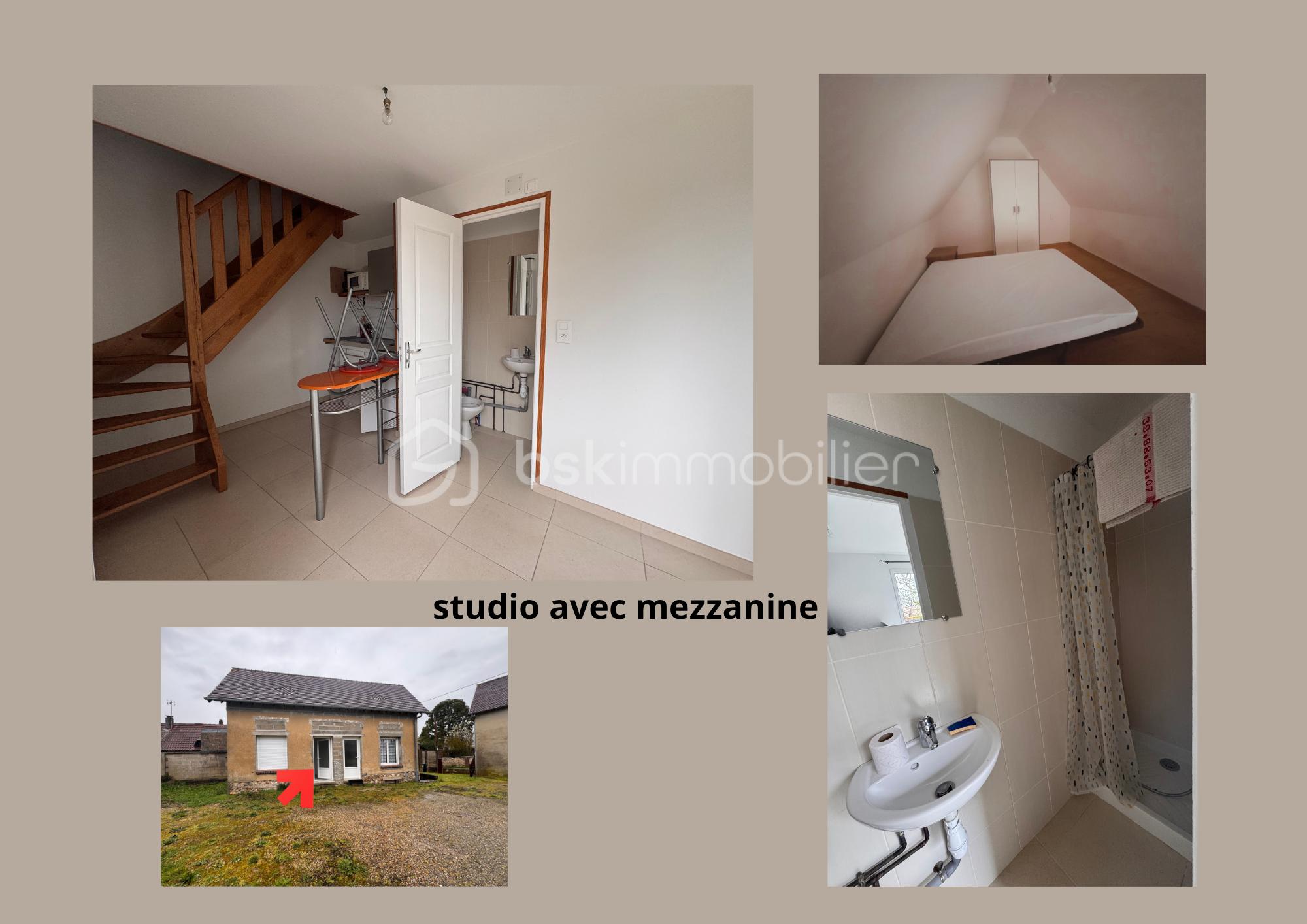 studio avec mezzanine.png