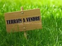 PHOTO TERRAIN A VENDRE.jfif