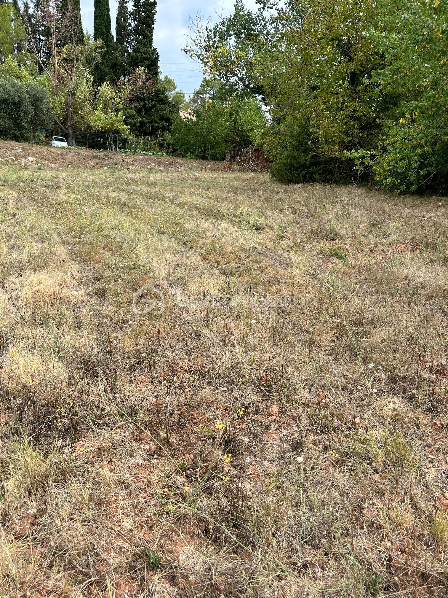 Terrain de 1 500 m² - IMG_3050.JPG