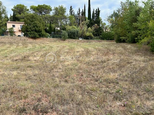 Terrain de 1 500 m² - IMG_3048.JPG