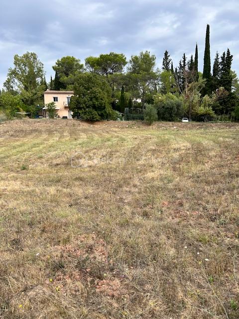 Terrain de 1 500 m² - IMG_3047.JPG