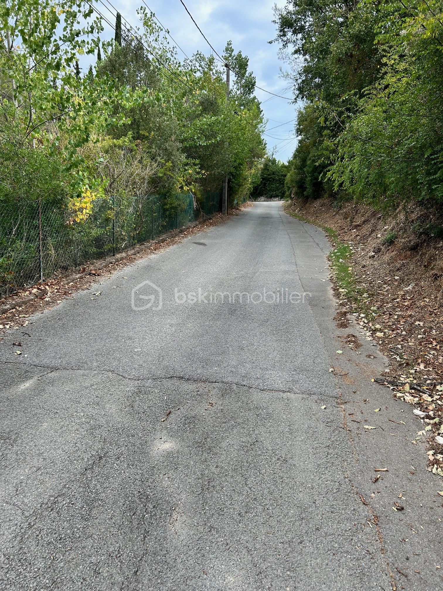 Terrain de 1 500 m² - IMG_3051.JPG