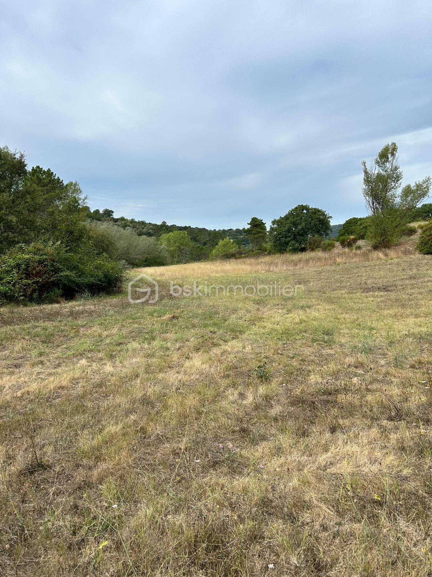 Terrain de 1 500 m² - IMG_3049.JPG