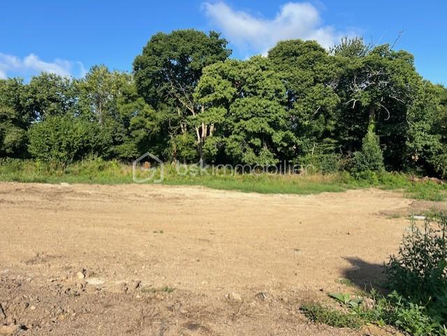 Terrain de 413 m² - thumbnail_IMG_9943.jpg