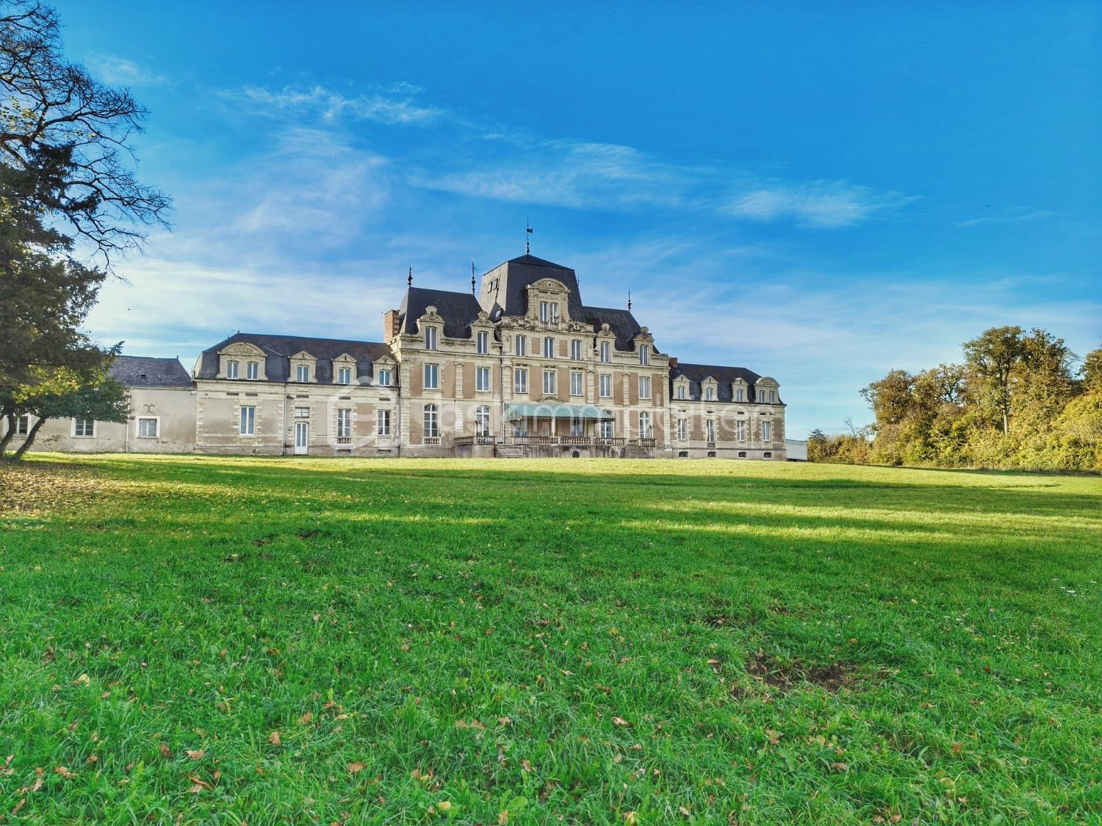 Chateau de 1 600 m² - bf84bfc8-0620-4d48-a17d-a5e3f1f6316a.jpg